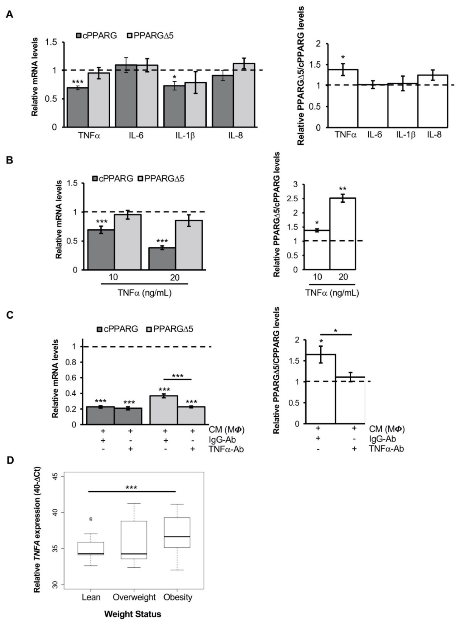 Cells 11 00042 g003 550