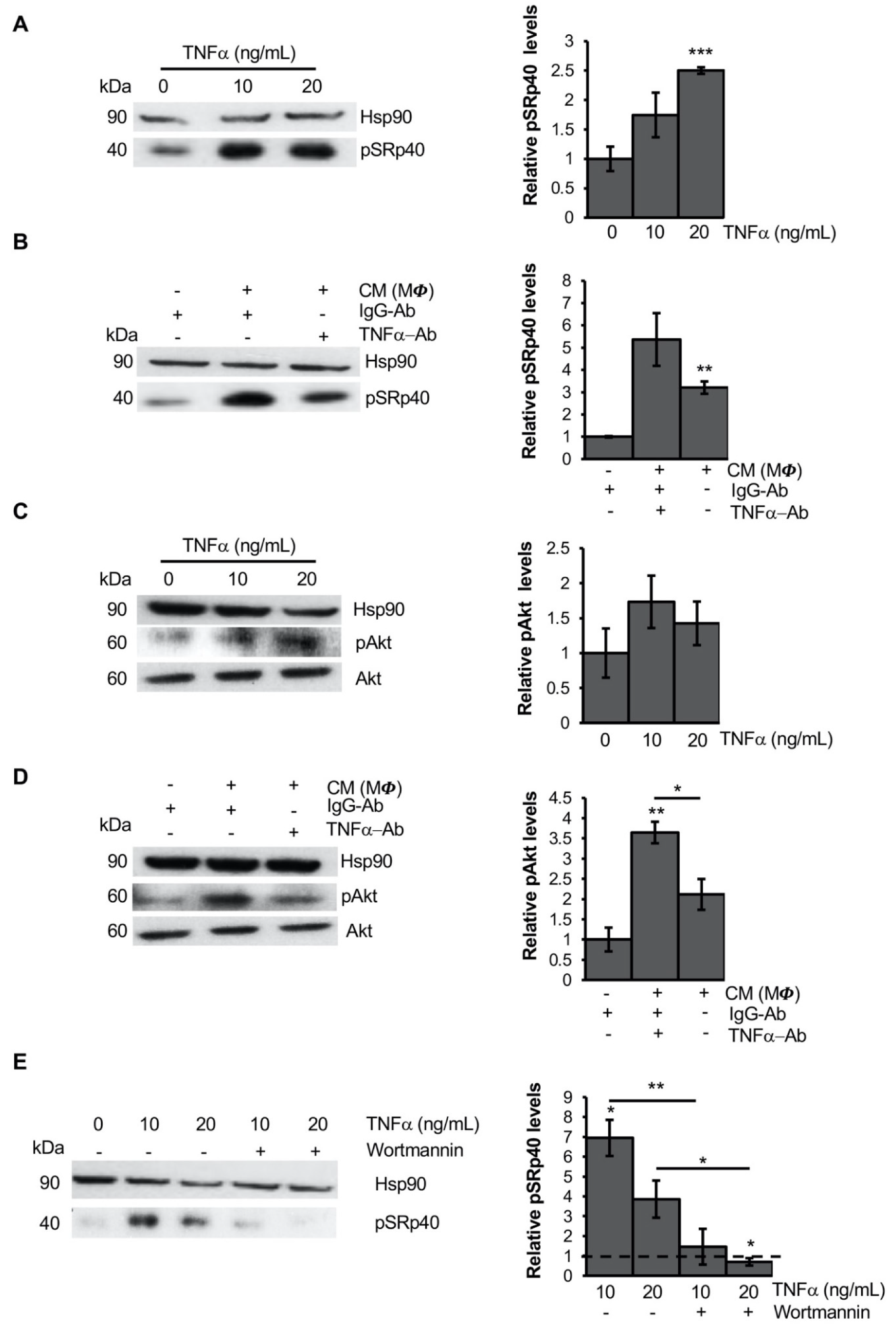 Cells 11 00042 g004 550