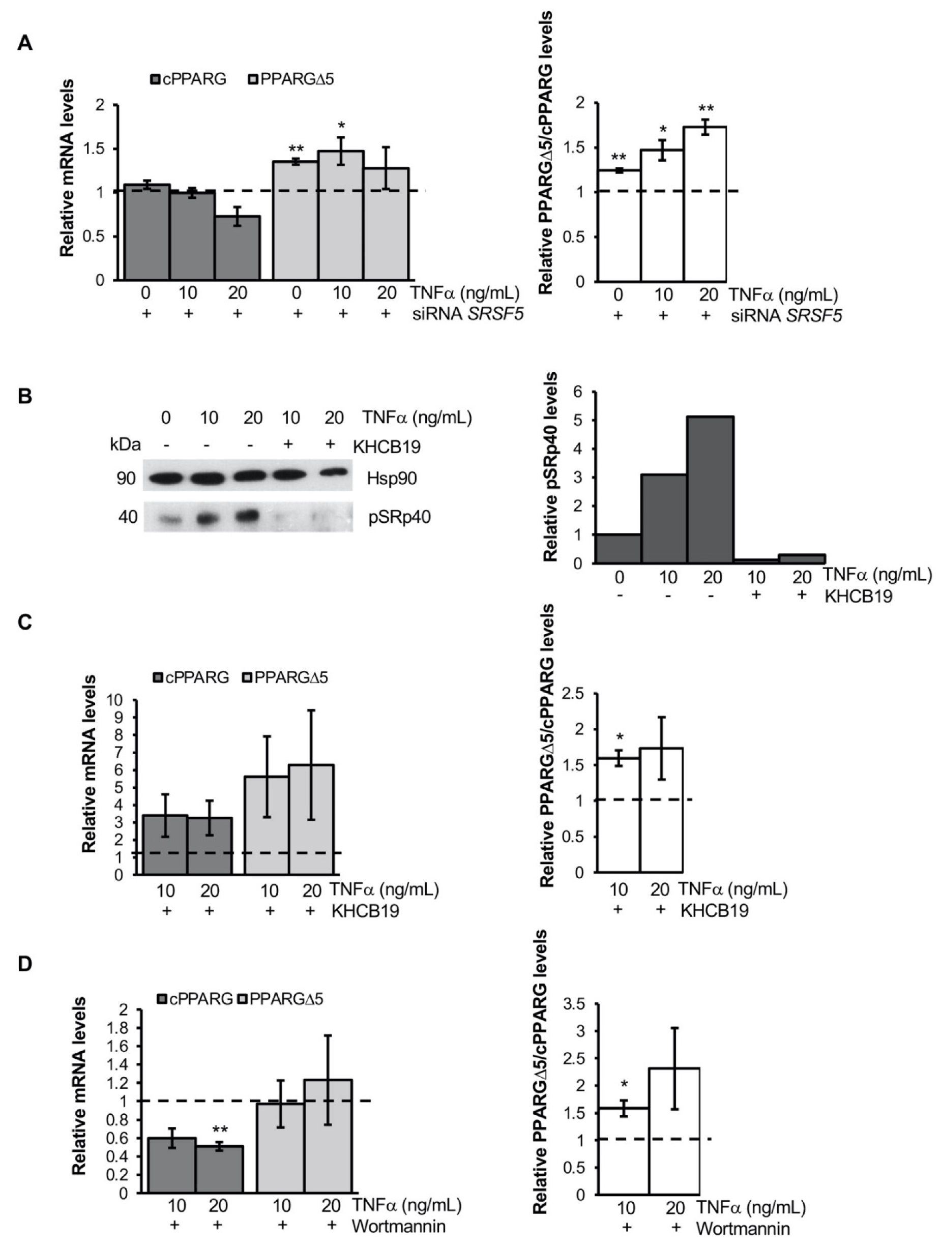 Cells 11 00042 g005 550