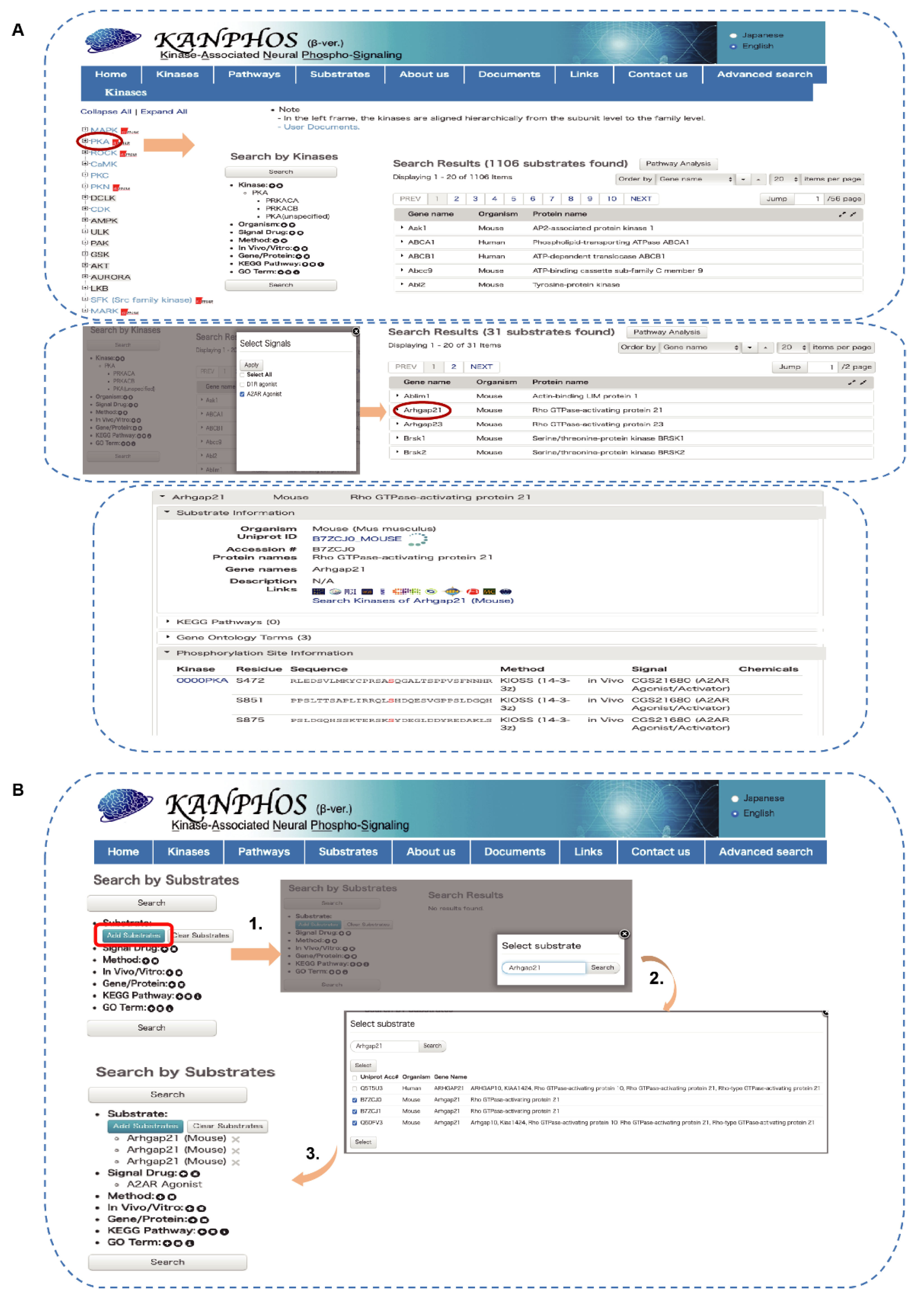 Cells 11 00047 g006 Cells 11 00047 g006