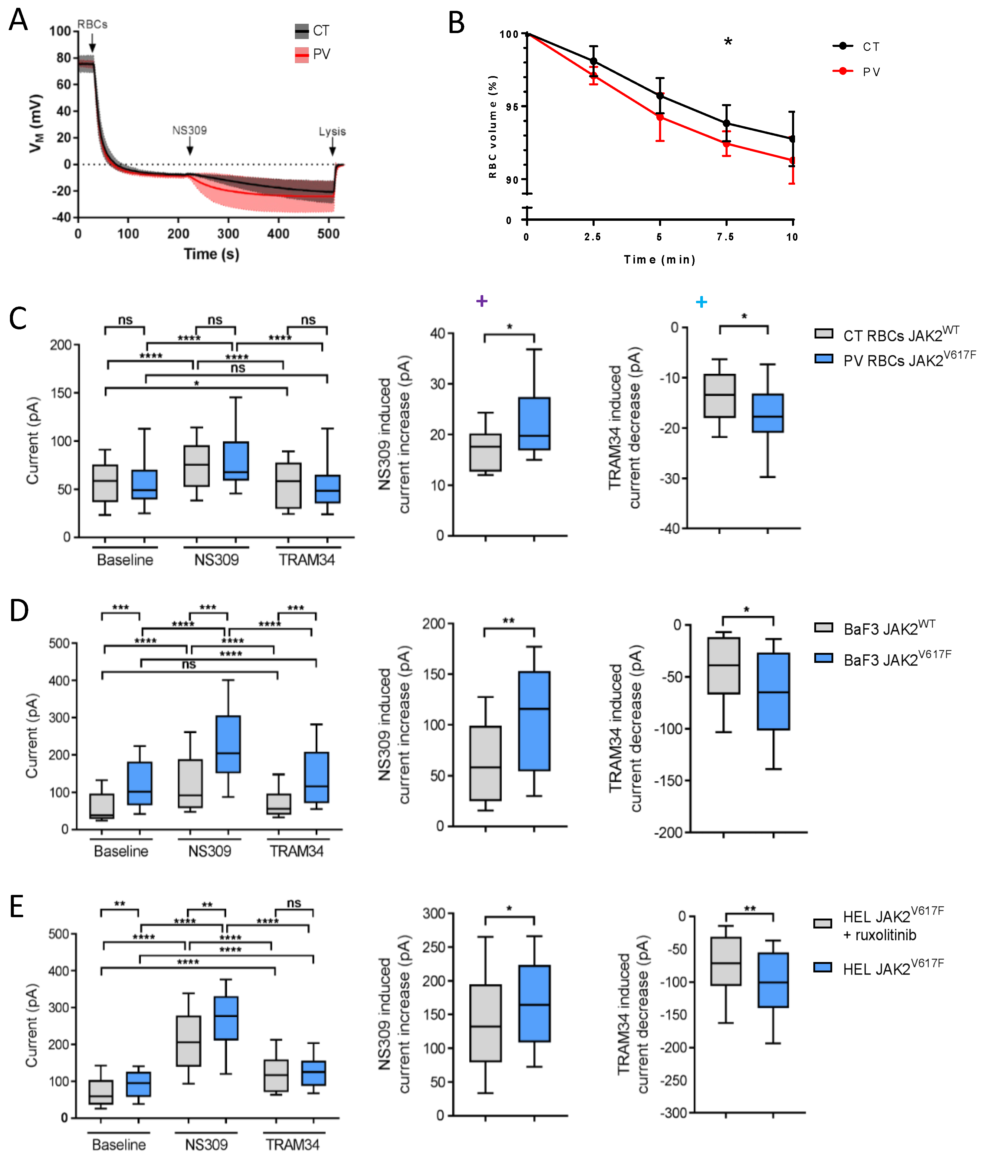 Cells 11 00049 g002 Cells 11 00049 g002