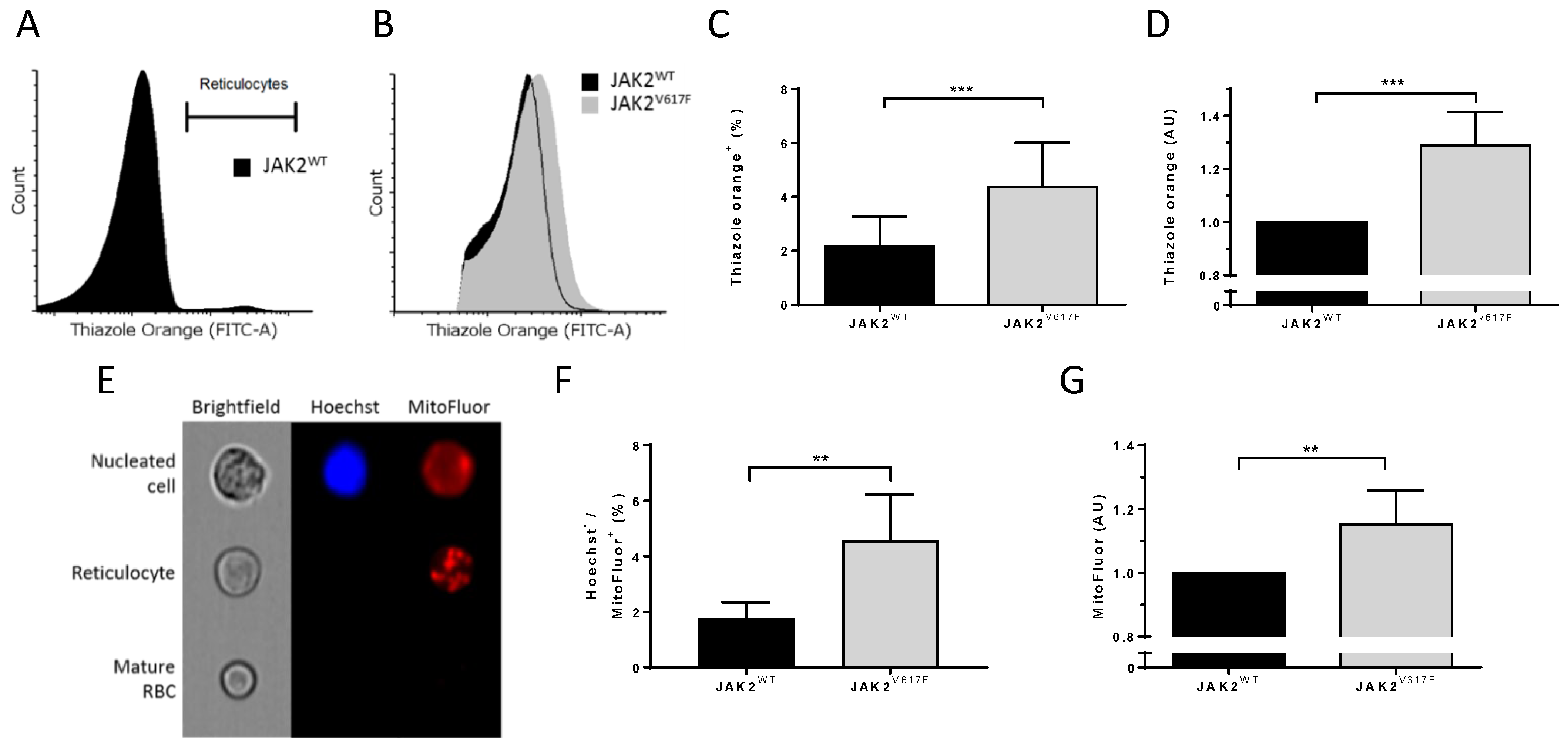 Cells 11 00049 g004 Cells 11 00049 g004