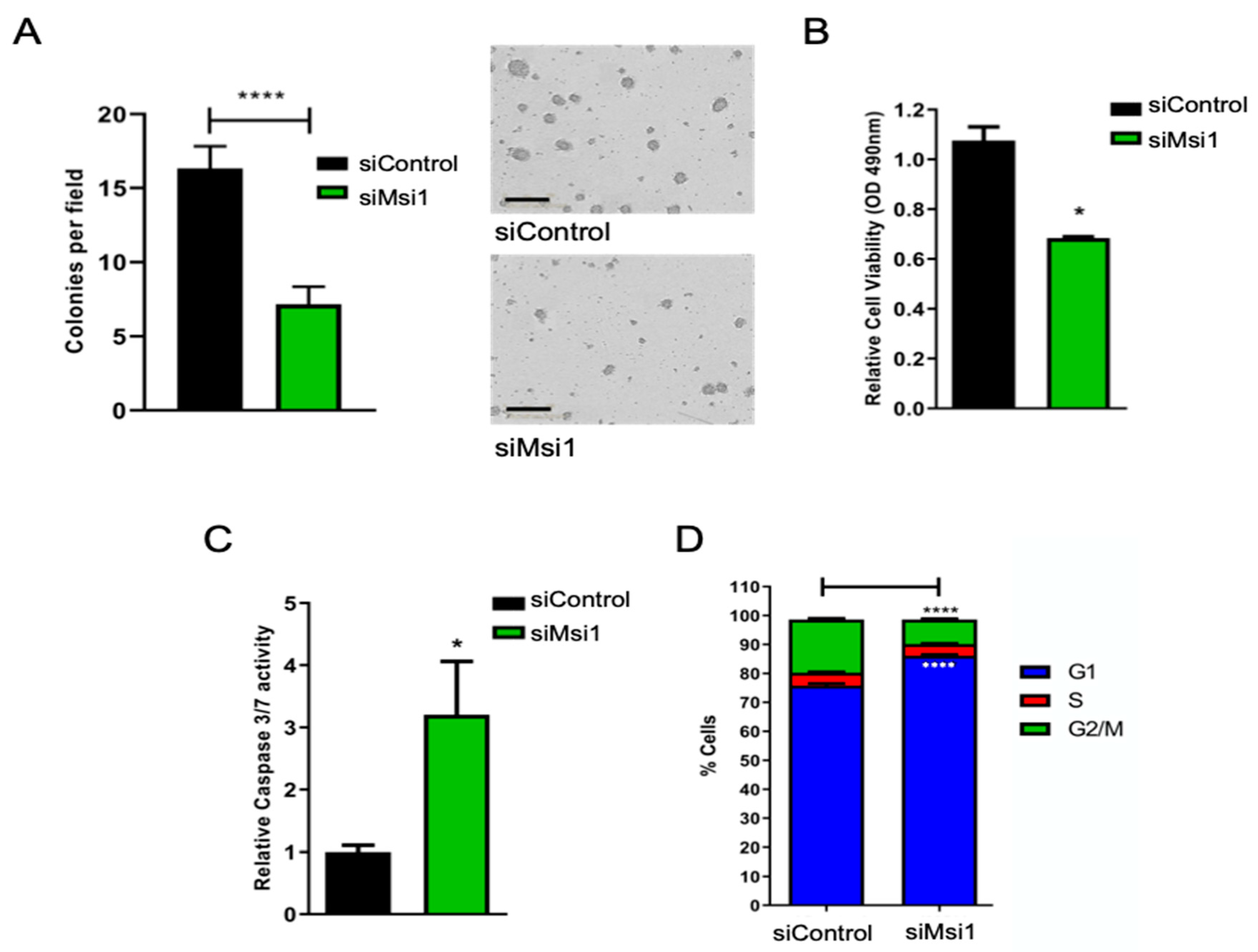 Cells 11 00056 g002 Cells 11 00056 g002