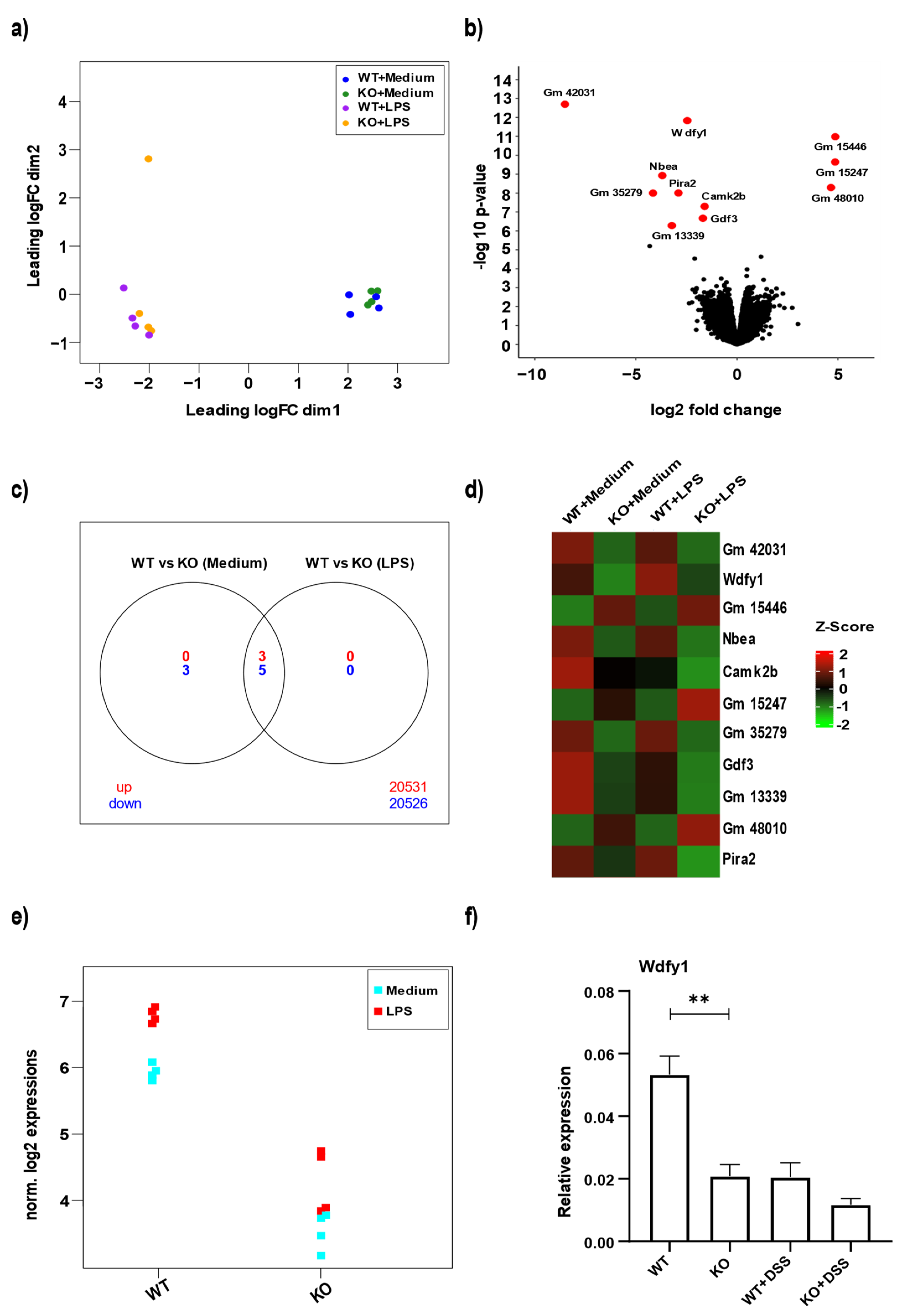 Cells 11 00058 g004 Cells 11 00058 g004