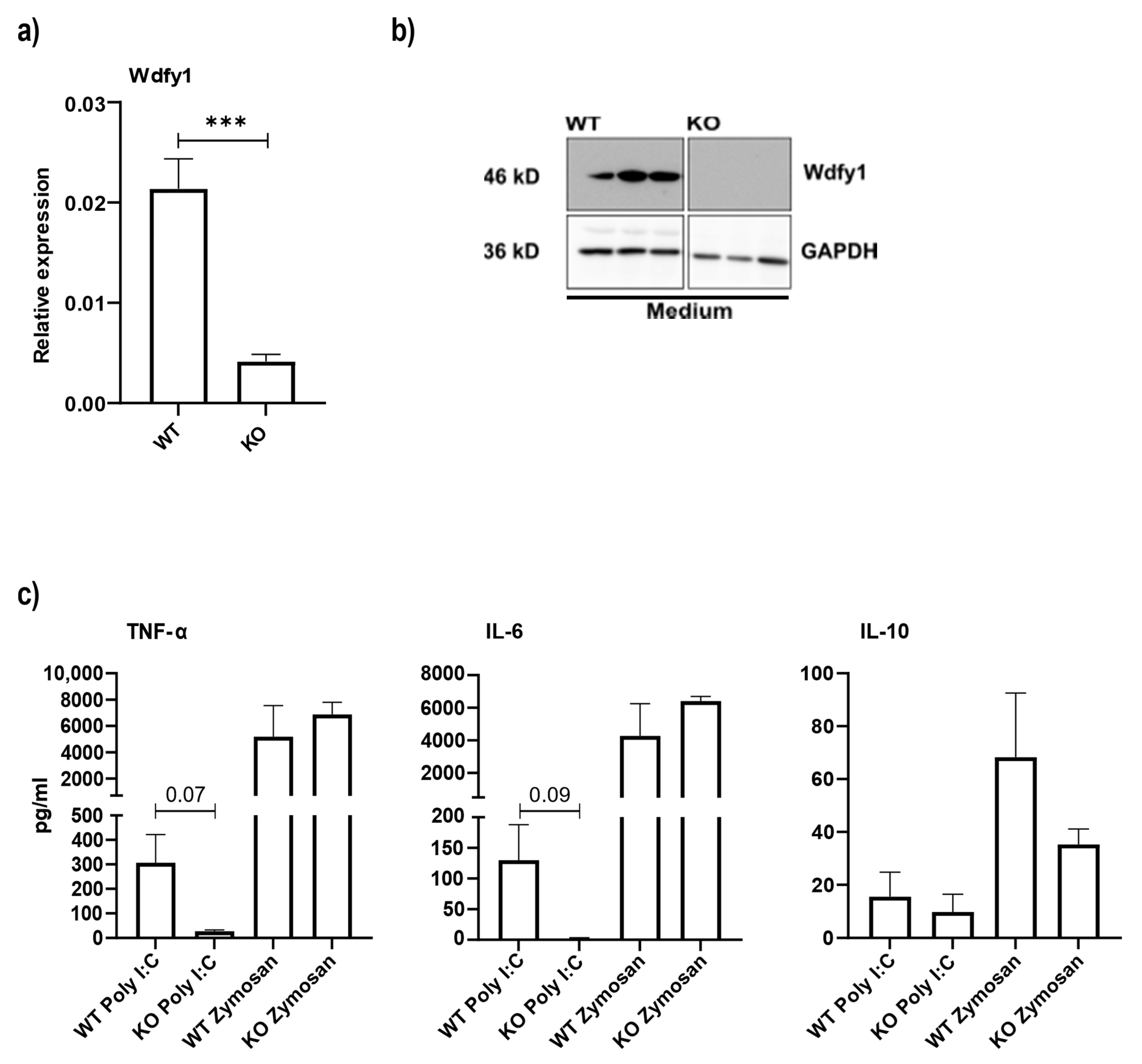 Cells 11 00058 g005 Cells 11 00058 g005