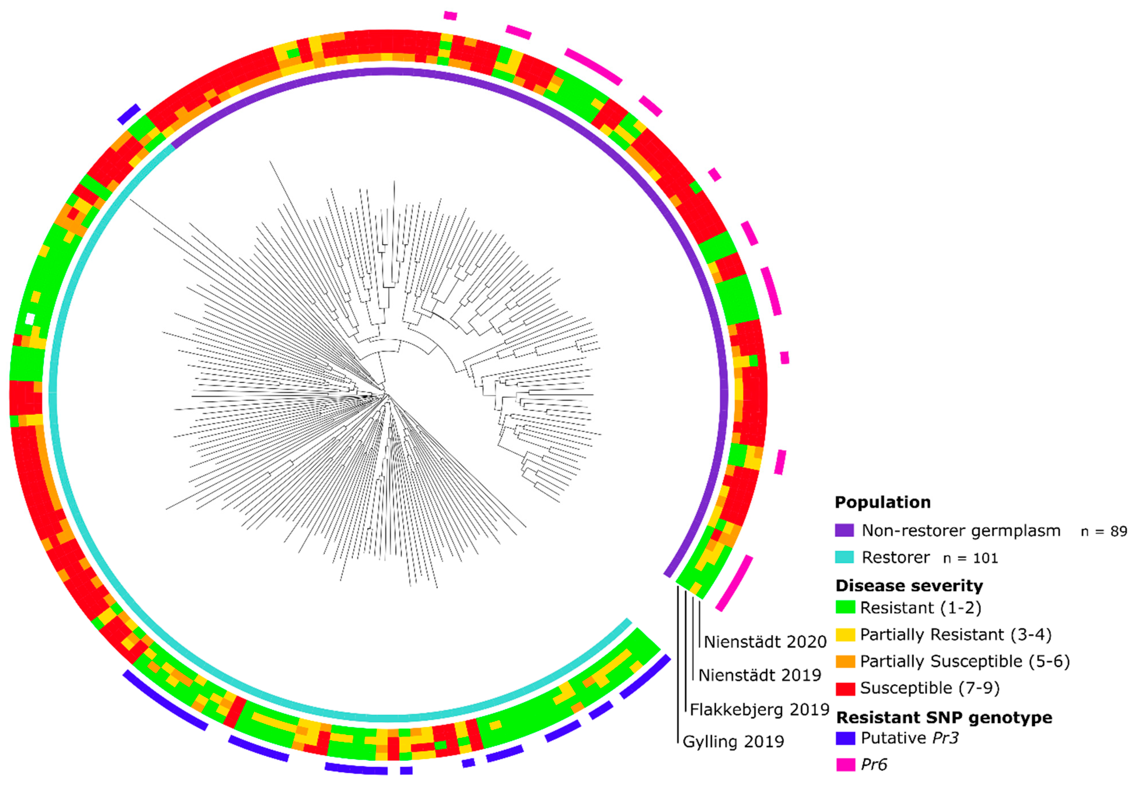 Cells 11 00064 g002 Cells 11 00064 g002