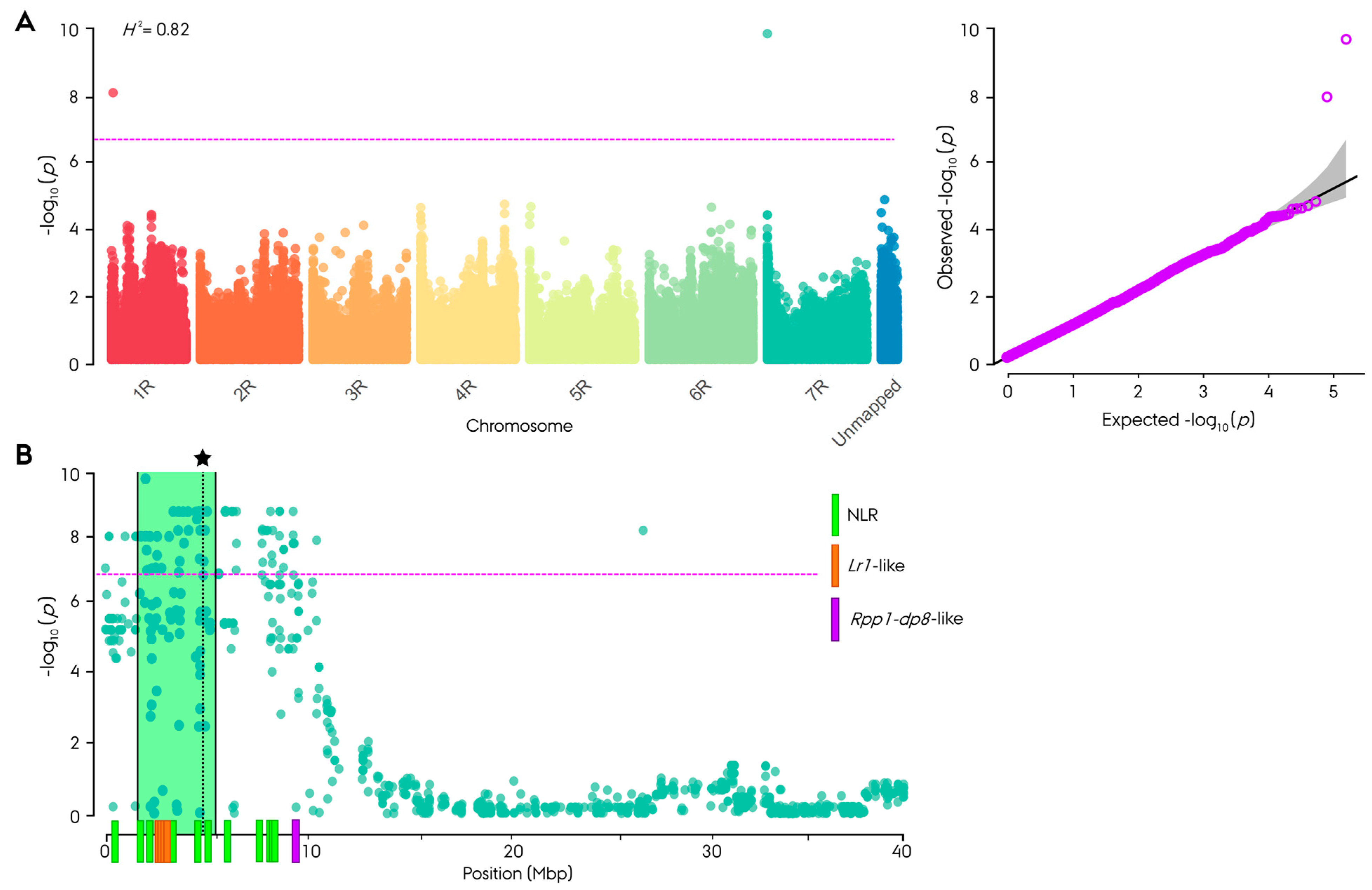 Cells 11 00064 g003 Cells 11 00064 g003