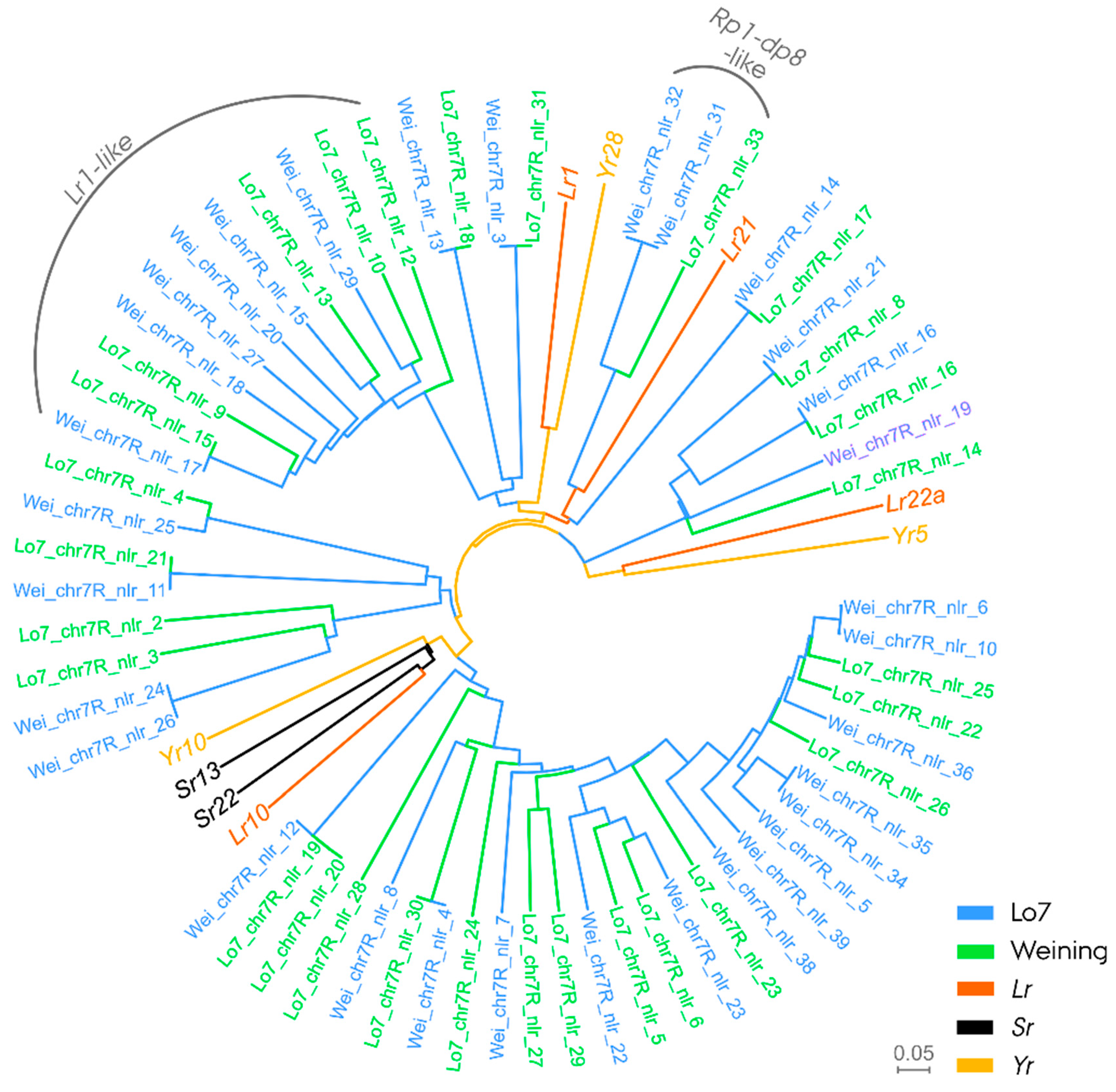 Cells 11 00064 g004 Cells 11 00064 g004