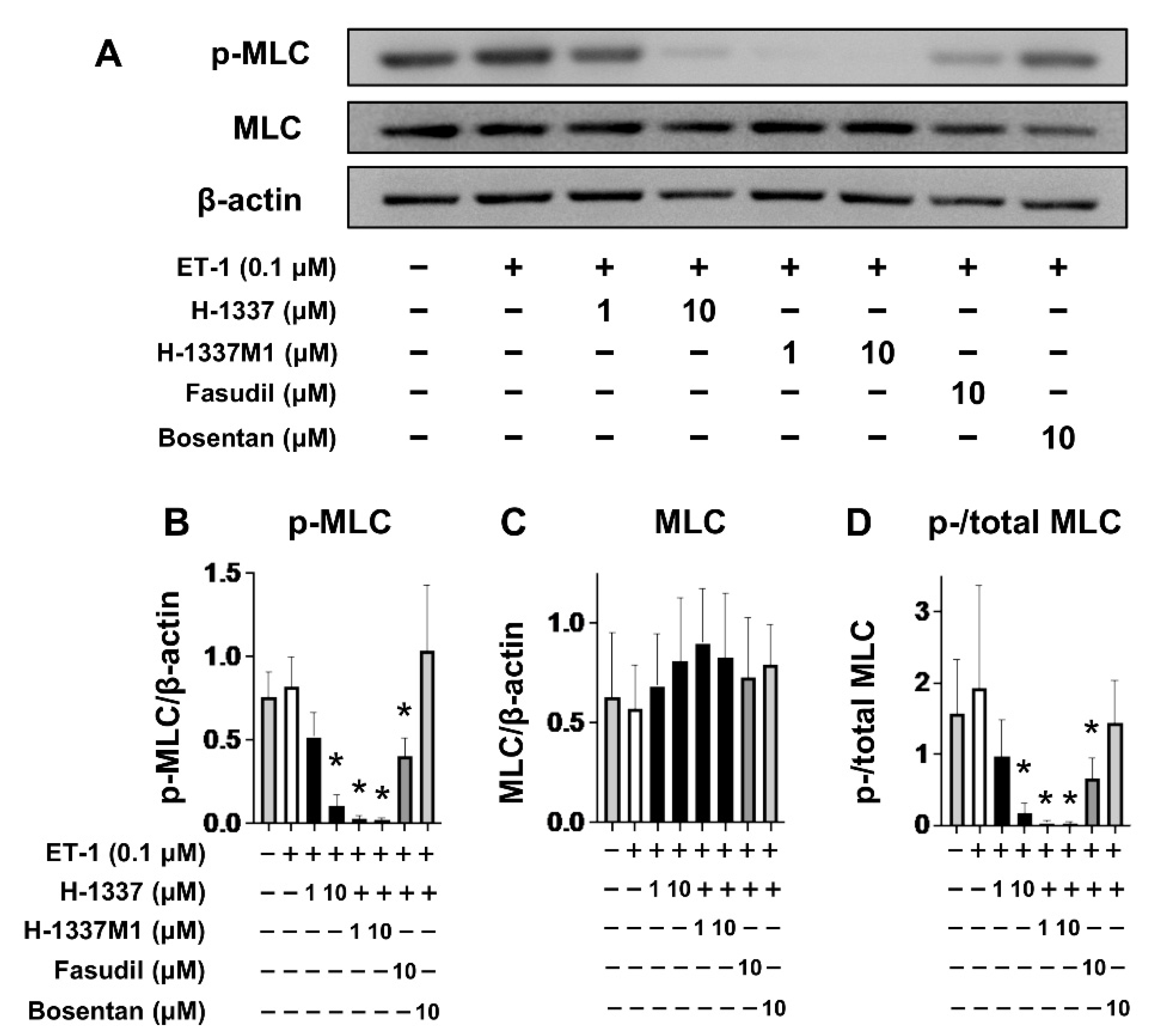 Cells 11 00066 g002 Cells 11 00066 g002