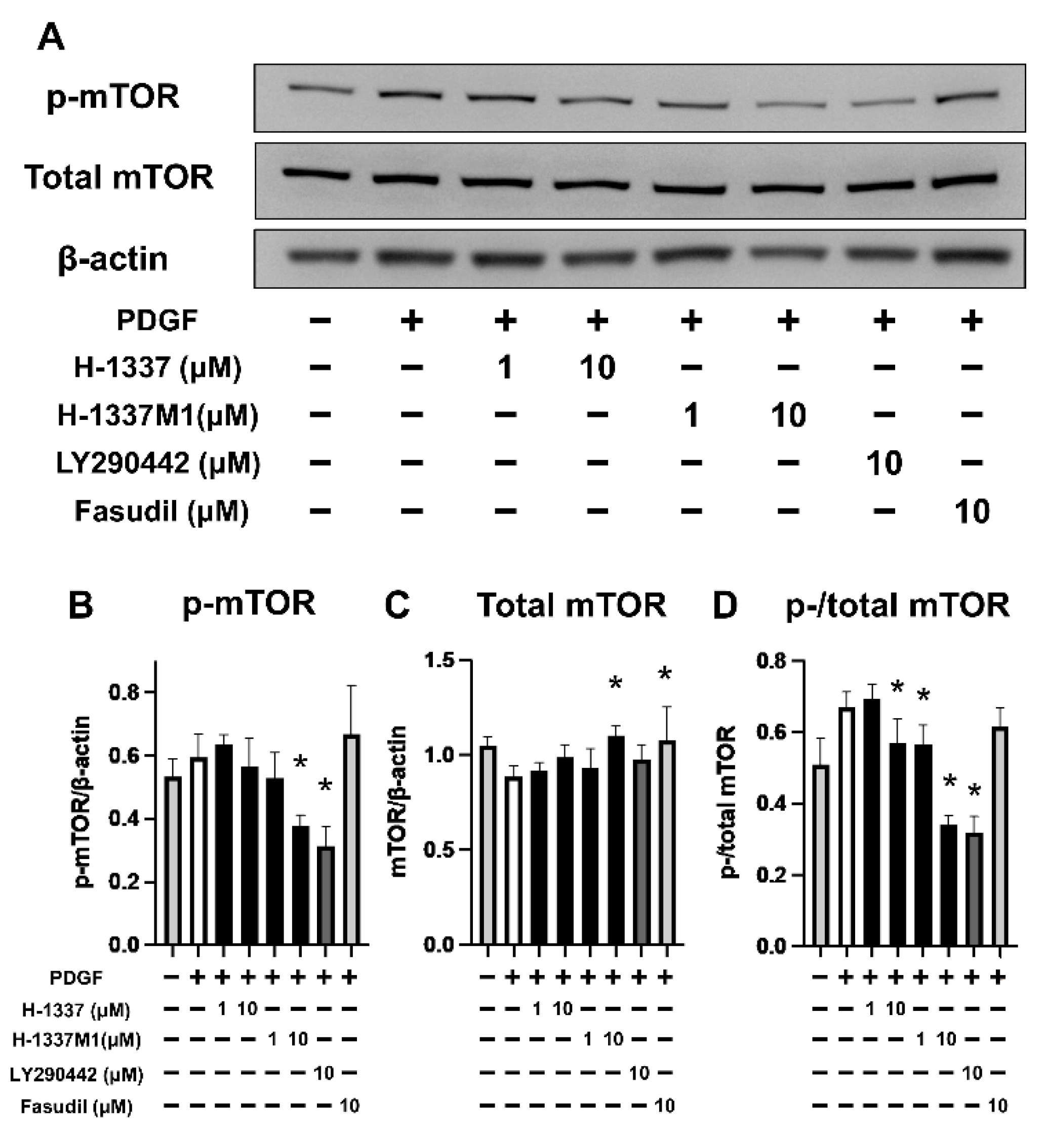 Cells 11 00066 g003 Cells 11 00066 g003