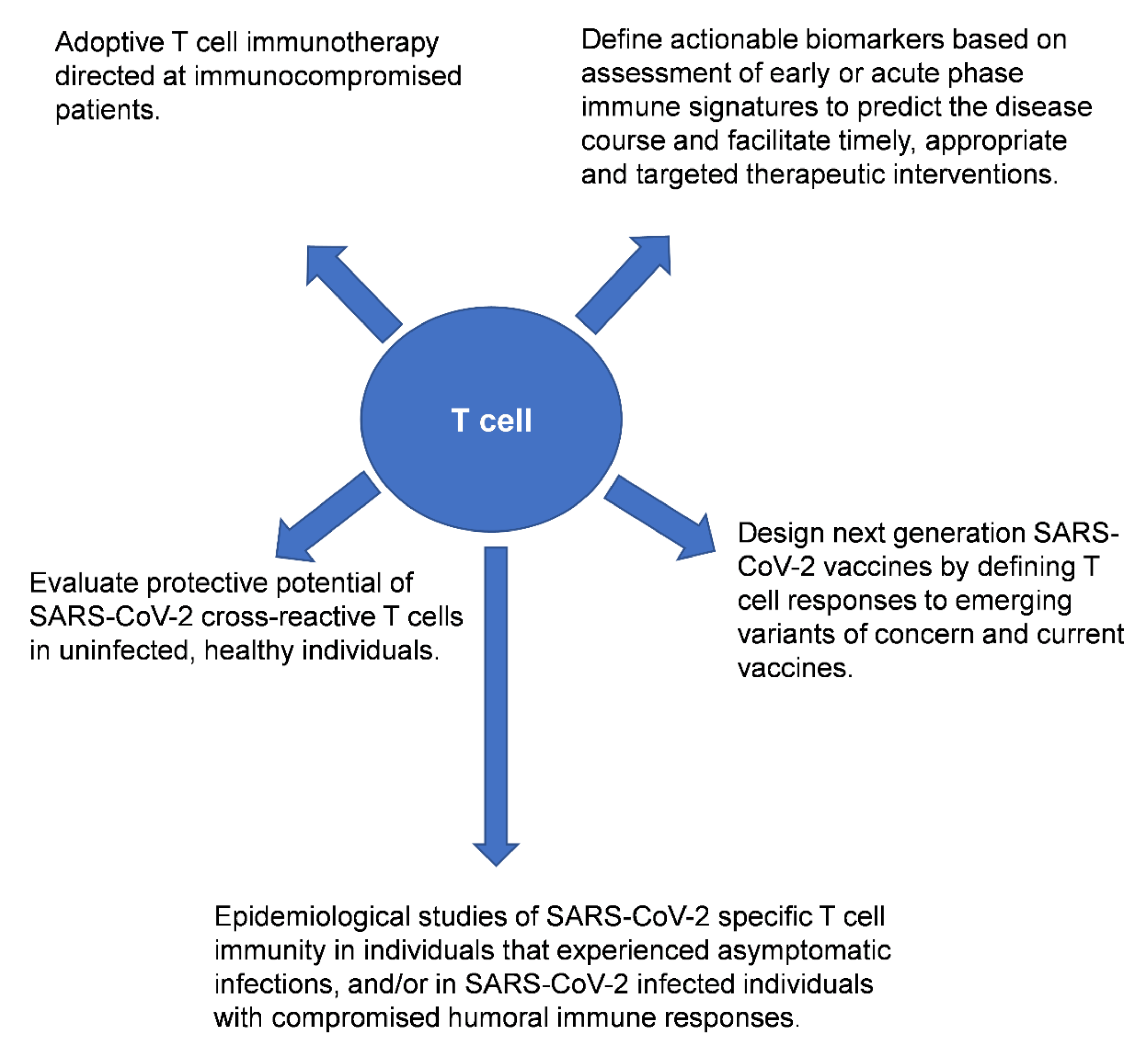 Cells 11 00067 g001 550