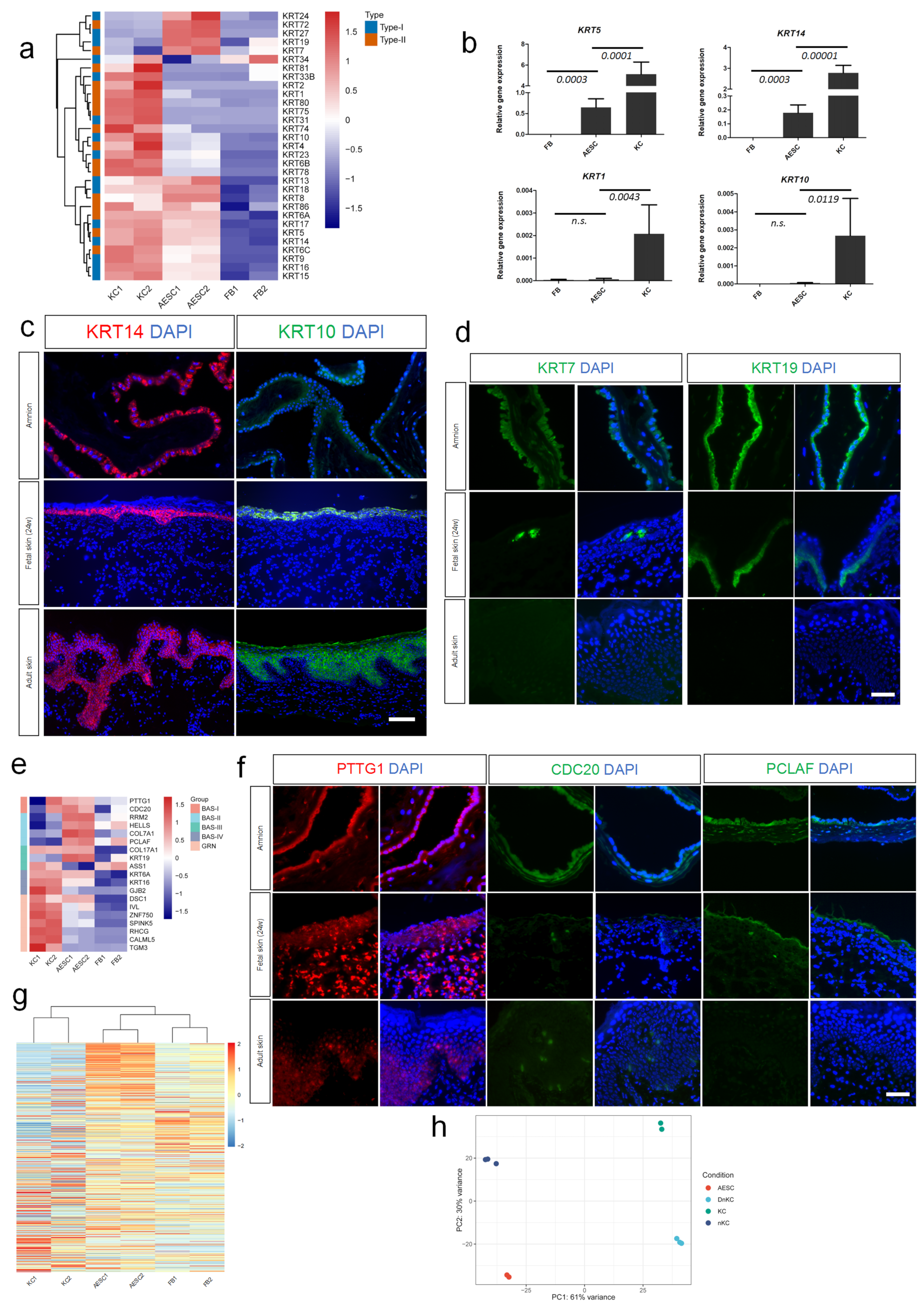 Cells 11 00070 g002 550