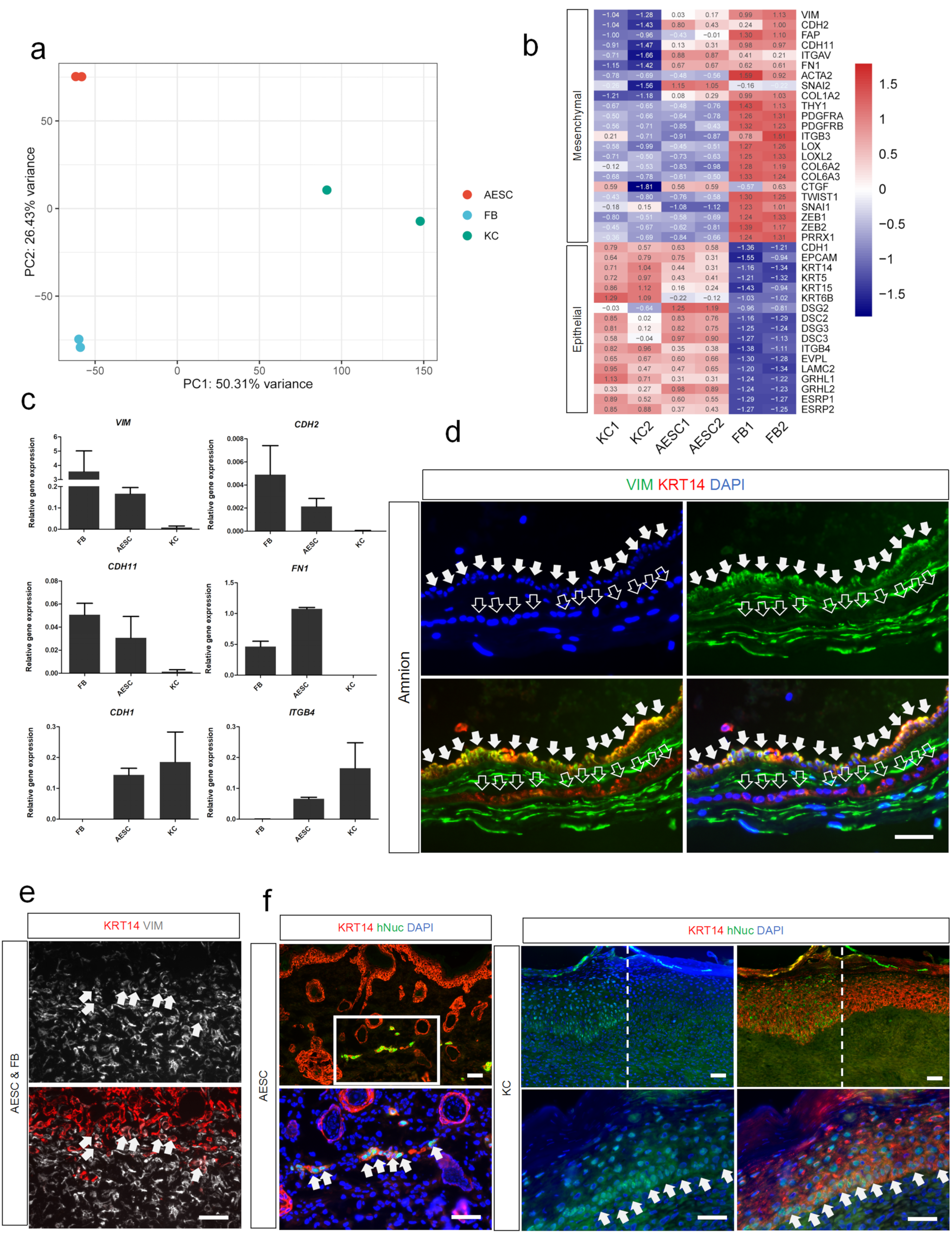 Cells 11 00070 g003 550