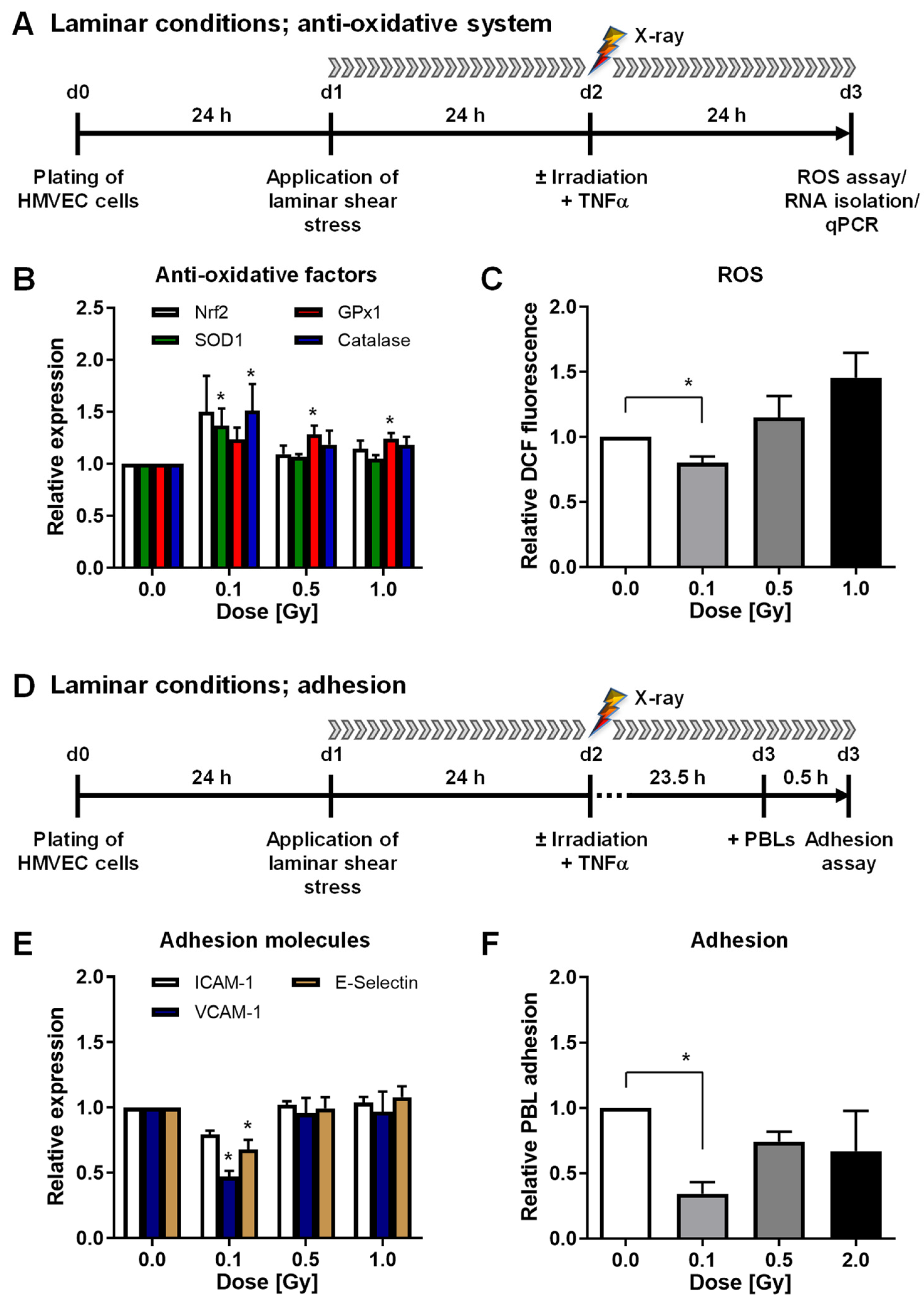 Cells 11 00072 g001 550