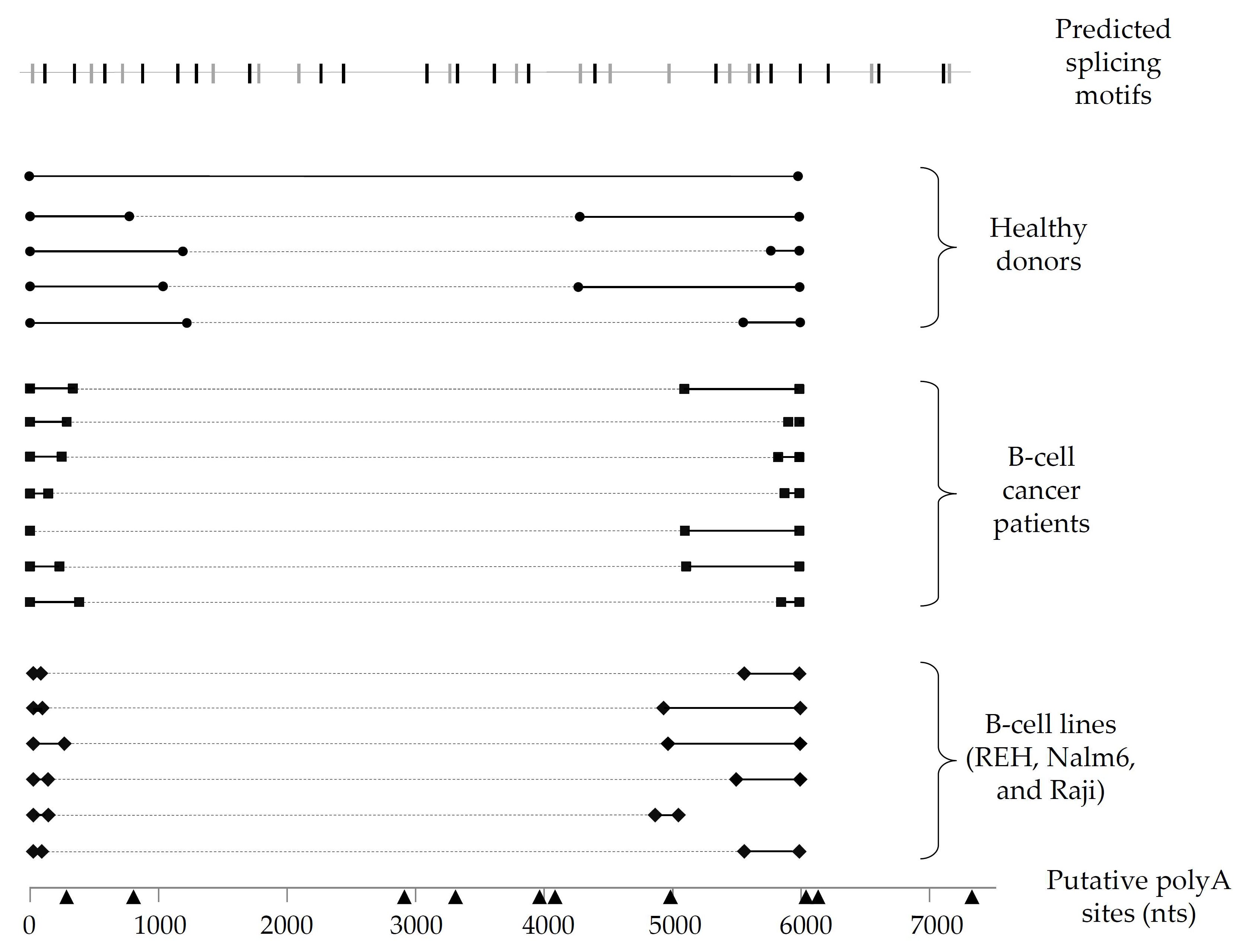 Cells 11 00076 g002 Cells 11 00076 g002