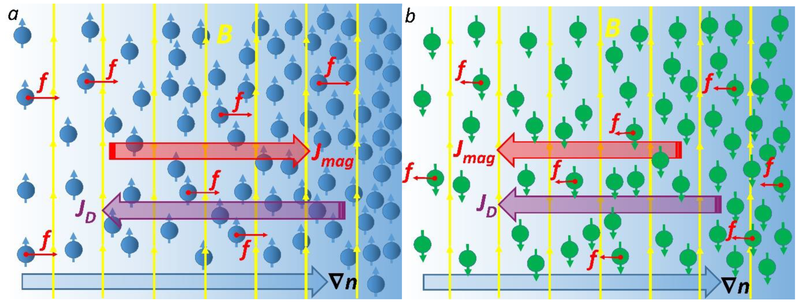 Cells 11 00081 g001 Cells 11 00081 g001