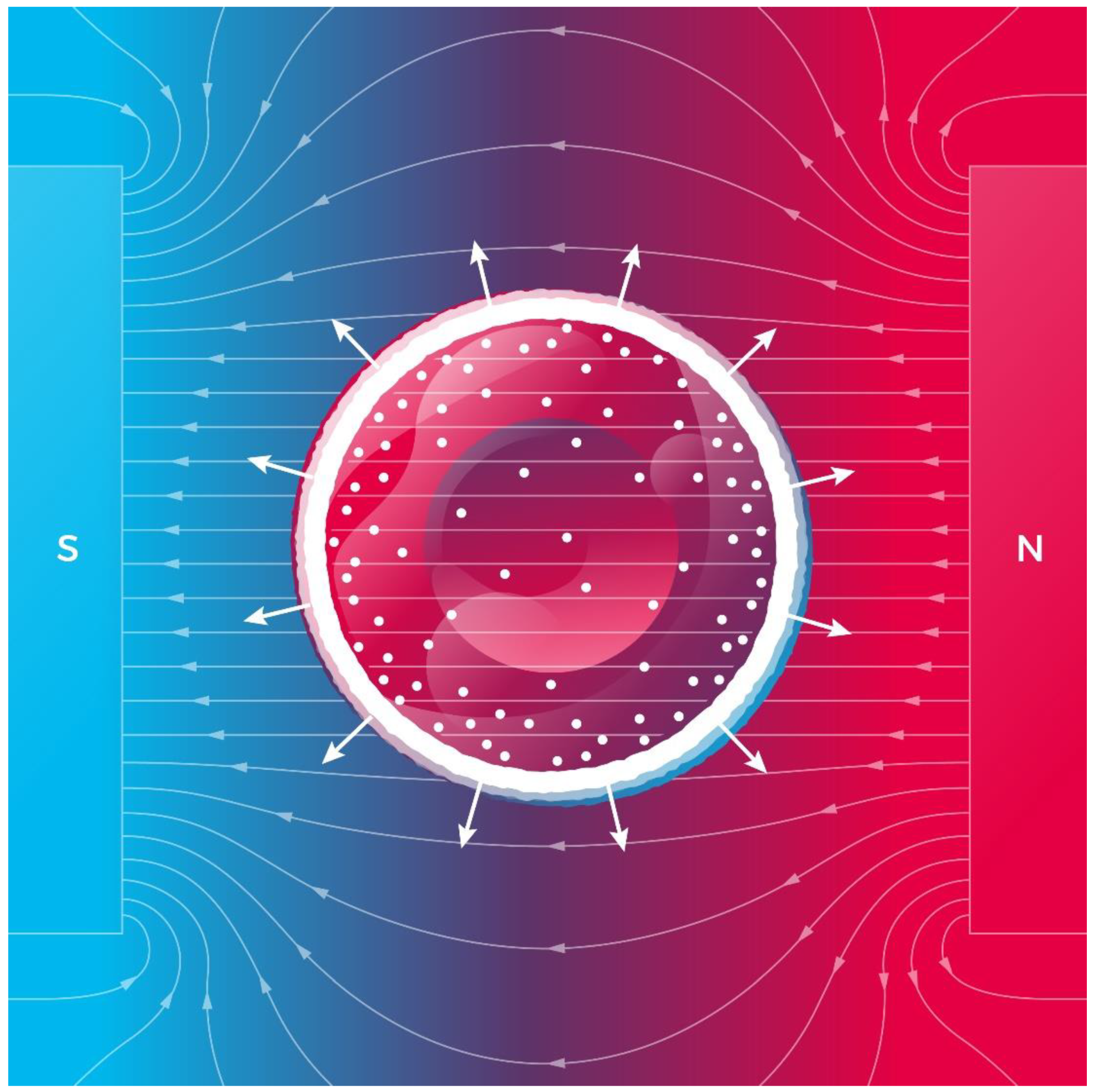 Cells 11 00081 g003 Cells 11 00081 g003