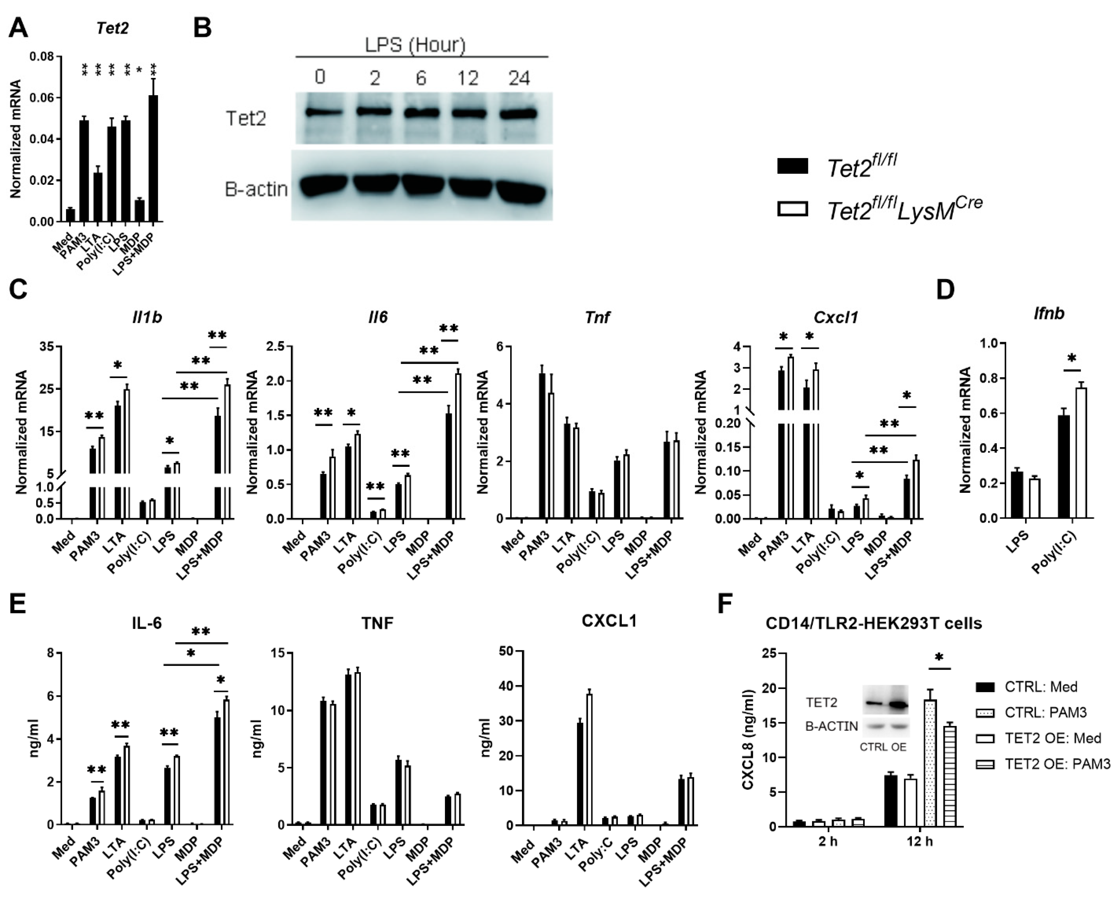 Cells 11 00082 g002 550