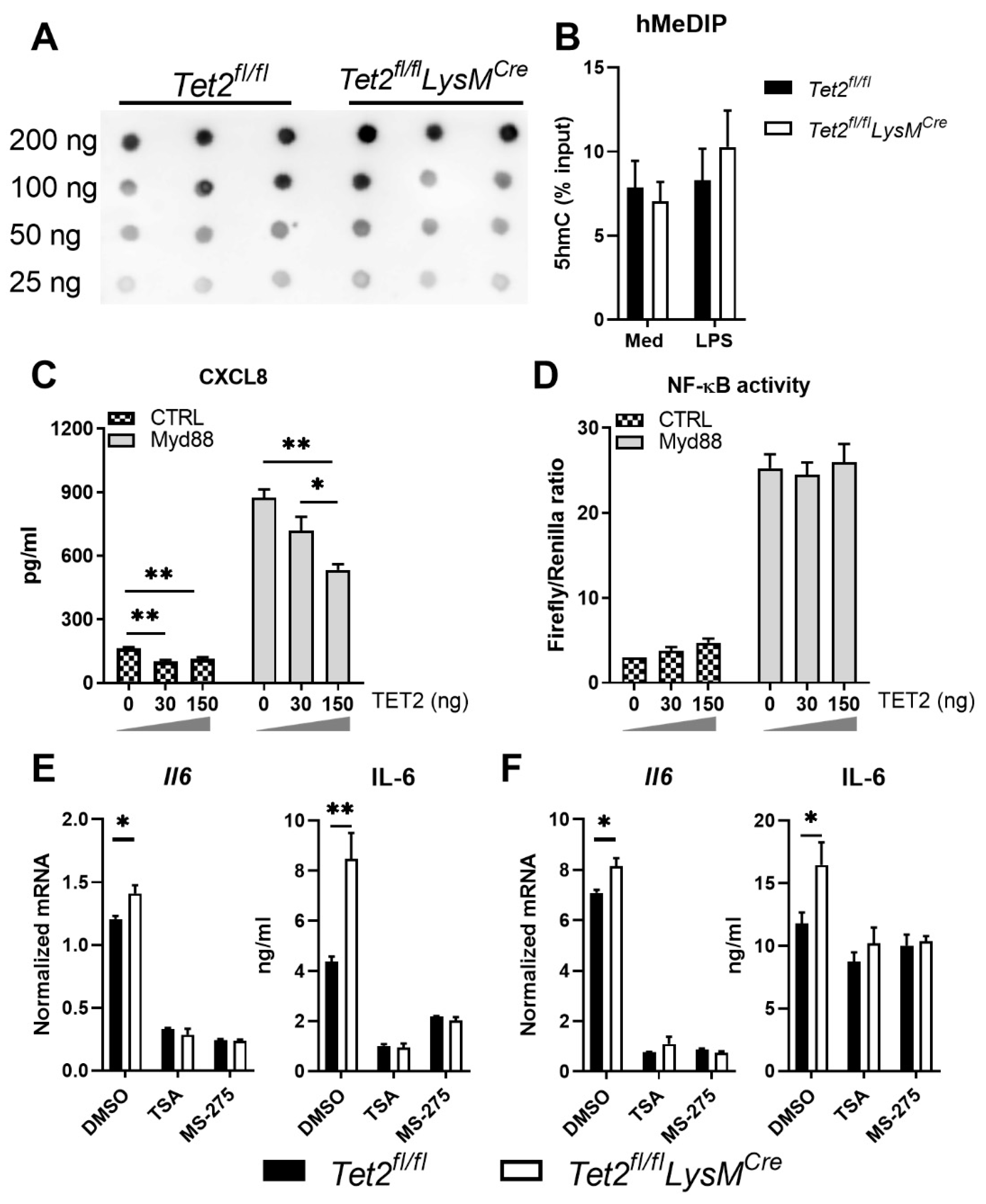 Cells 11 00082 g003 550