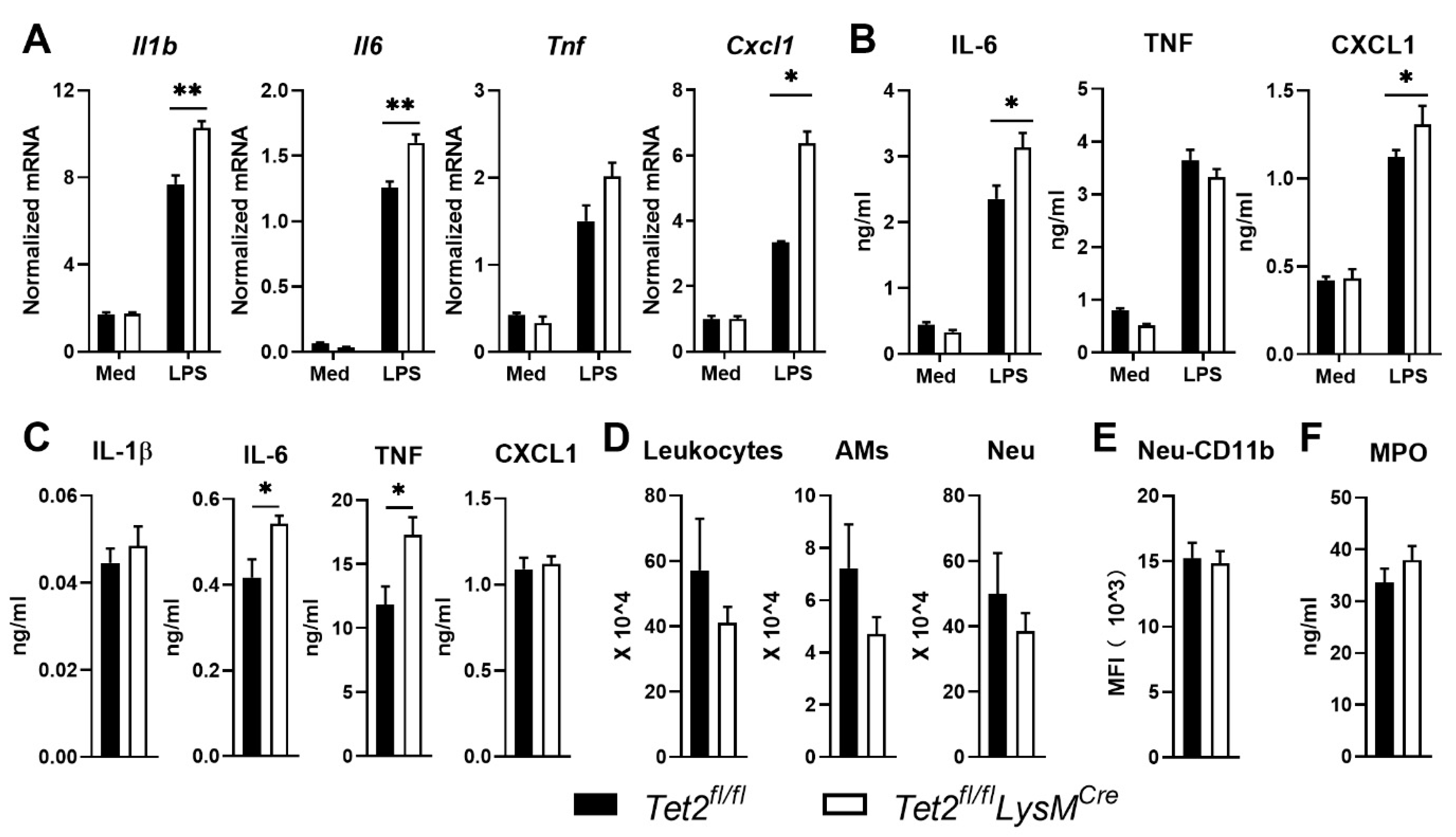 Cells 11 00082 g004 550