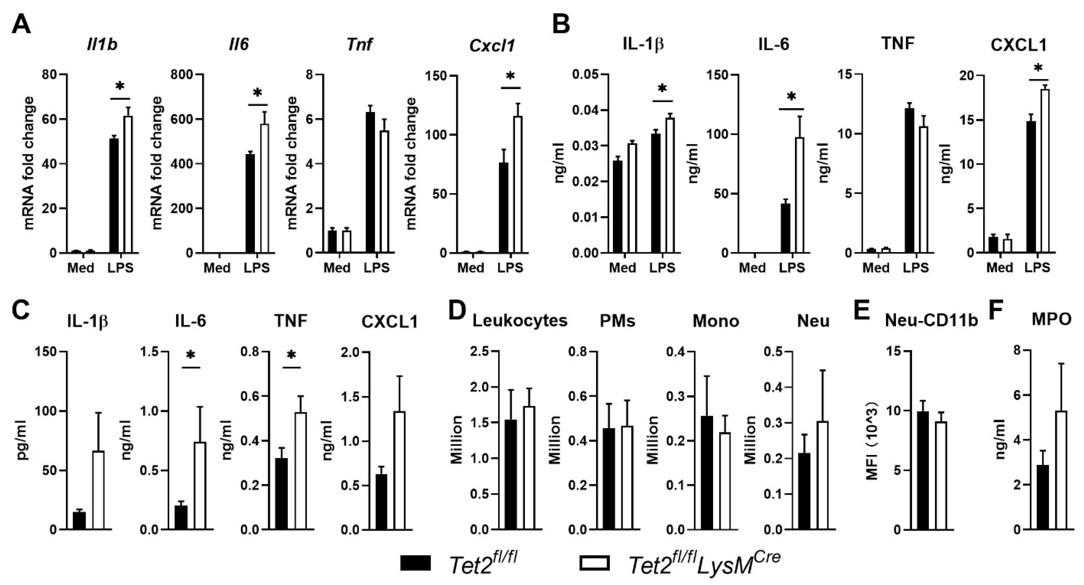 Cells 11 00082 g005 550