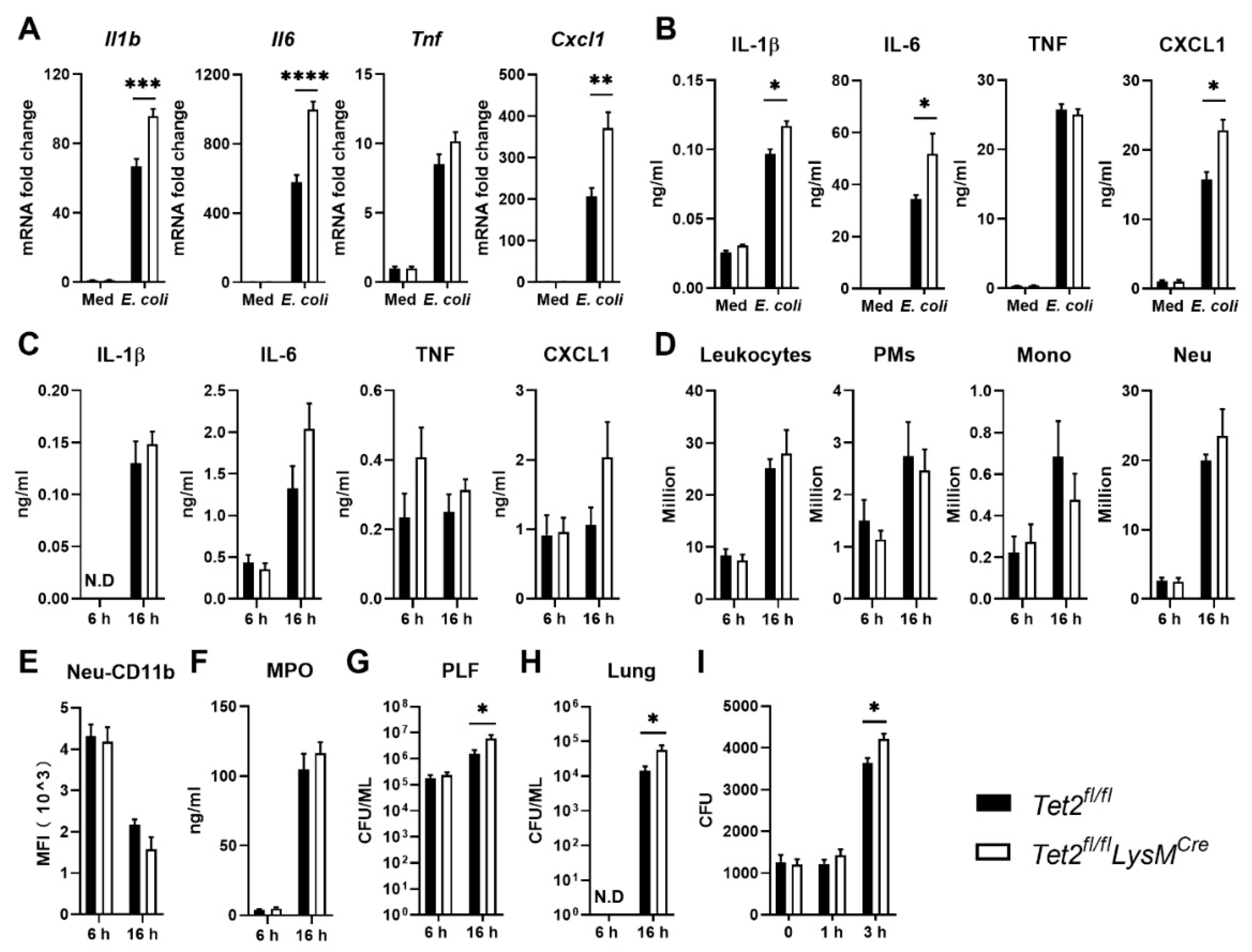 Cells 11 00082 g006 550