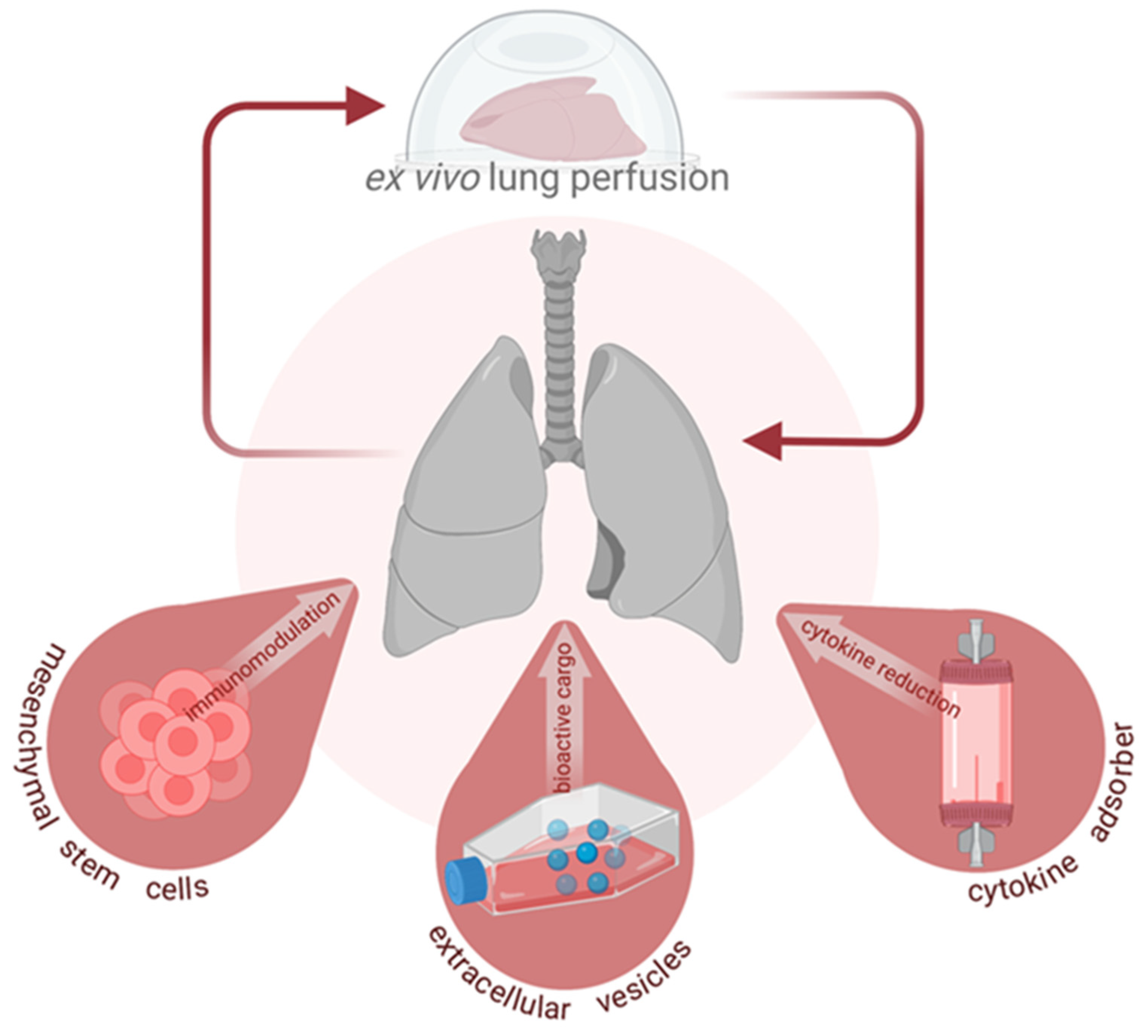 Cells 11 00091 g001 Cells 11 00091 g001