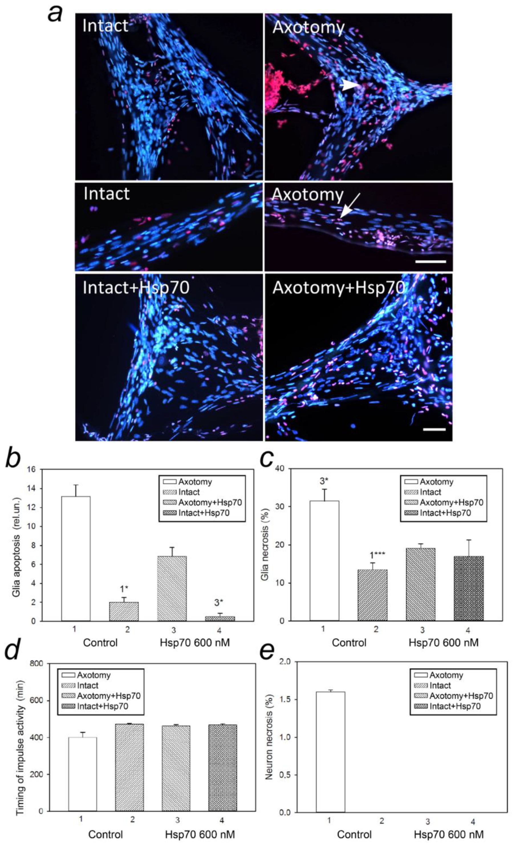 Cells 11 00093 g001 Cells 11 00093 g001