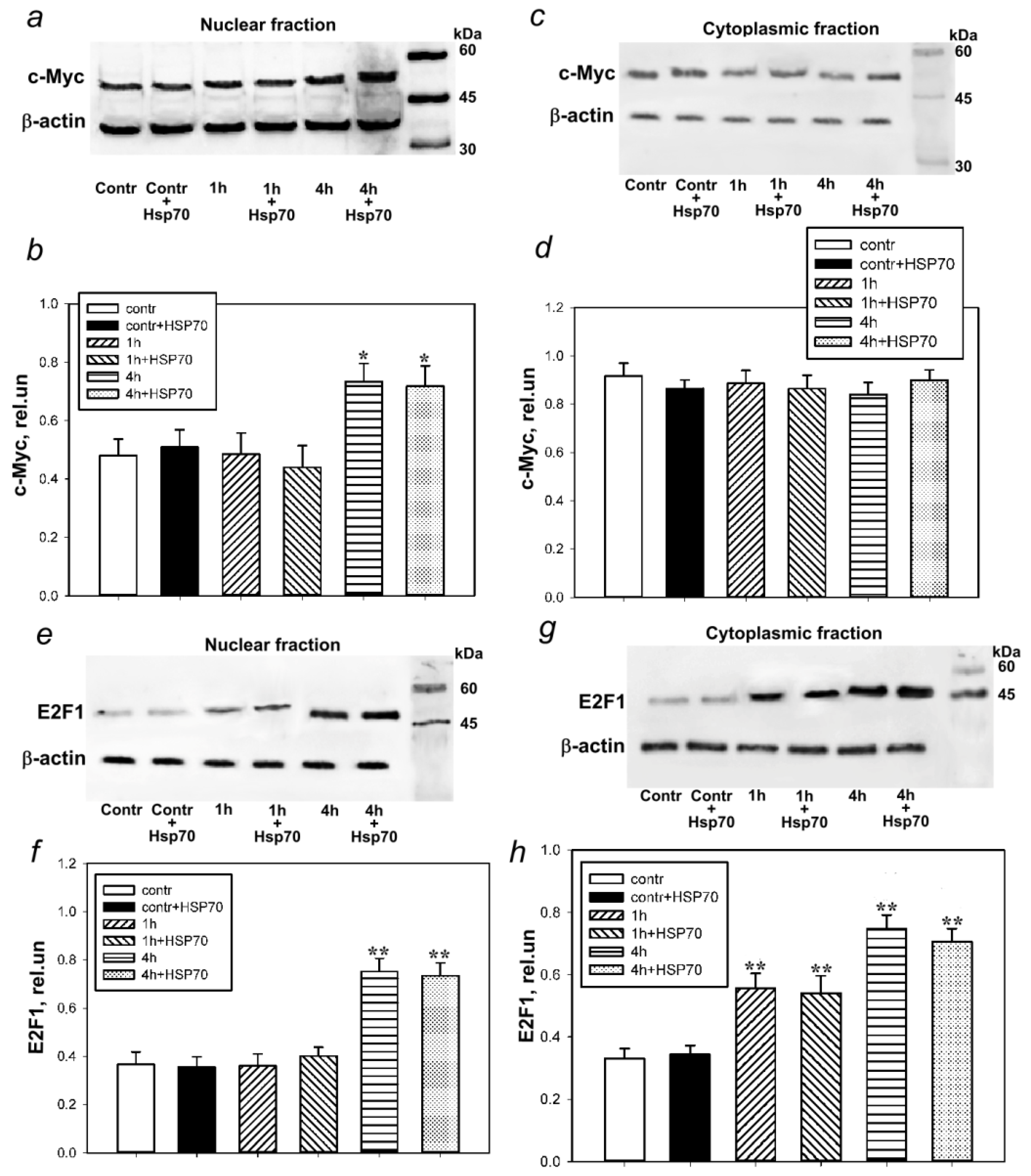 Cells 11 00093 g002 Cells 11 00093 g002