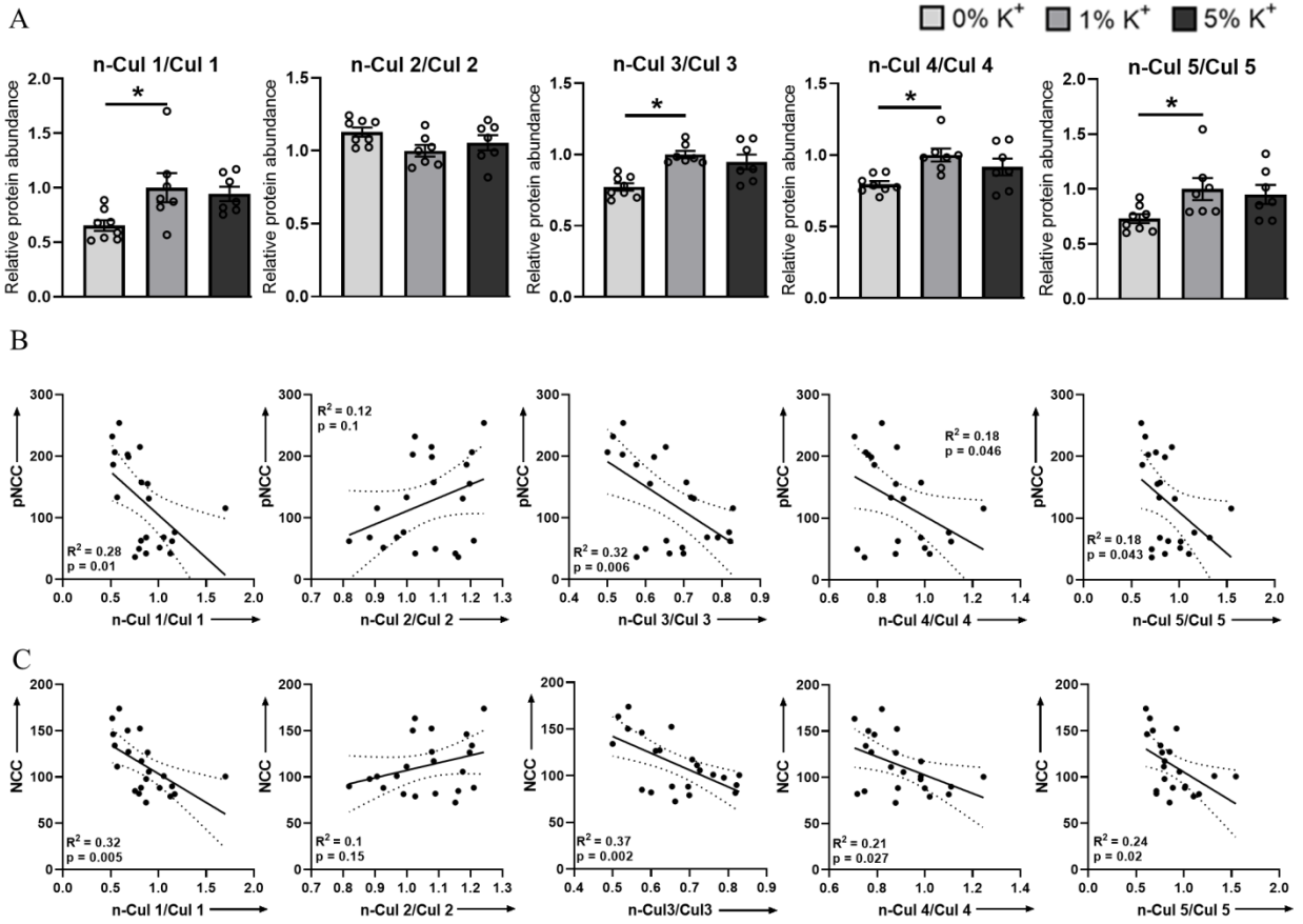 Cells 11 00095 g002 550