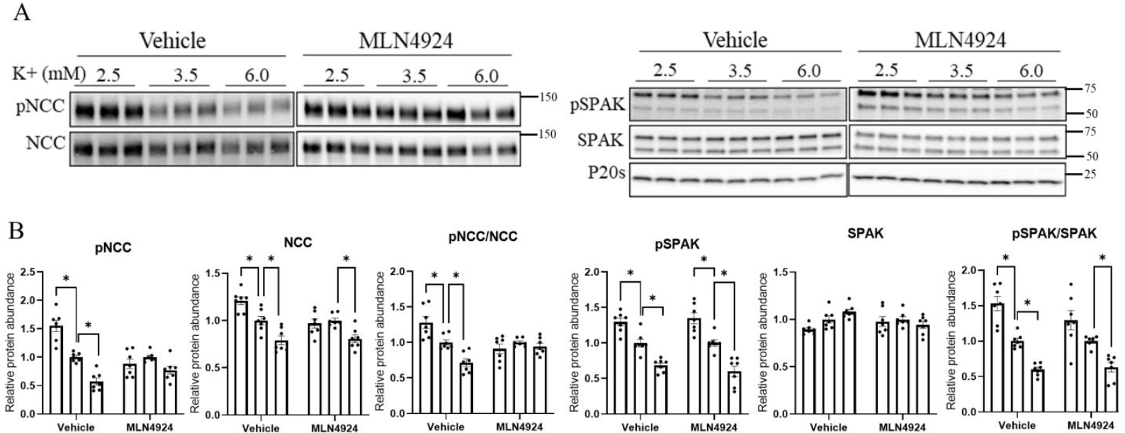 Cells 11 00095 g008 550