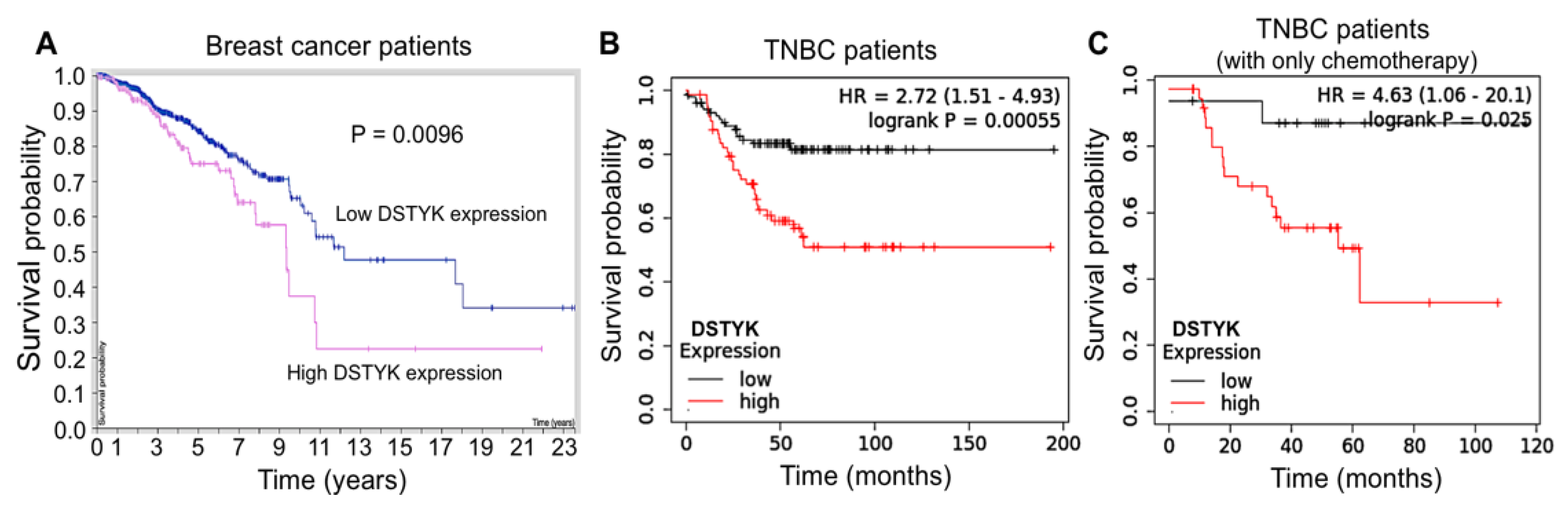 Cells 11 00097 g001 550