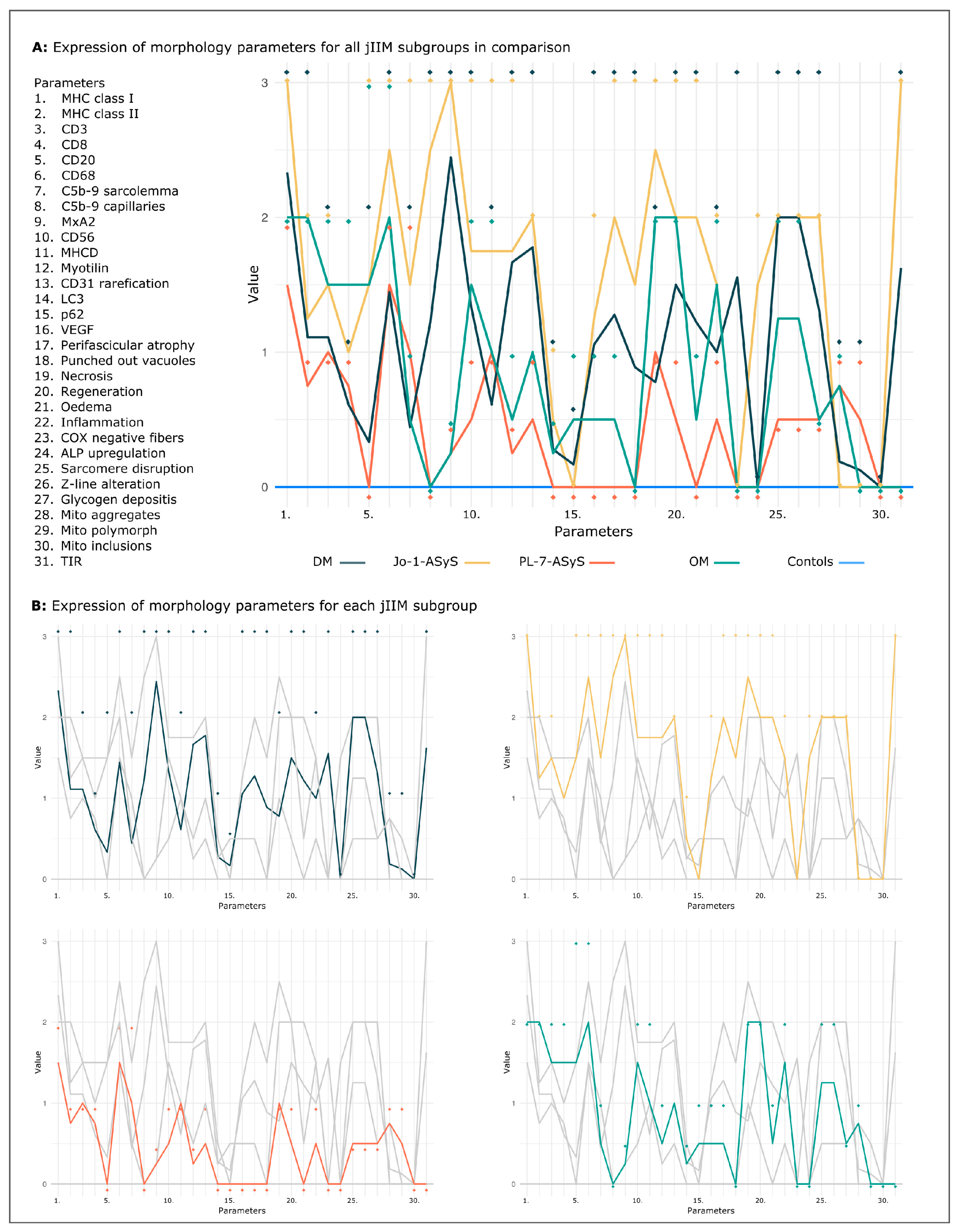 Cells 11 00109 g009 Cells 11 00109 g009