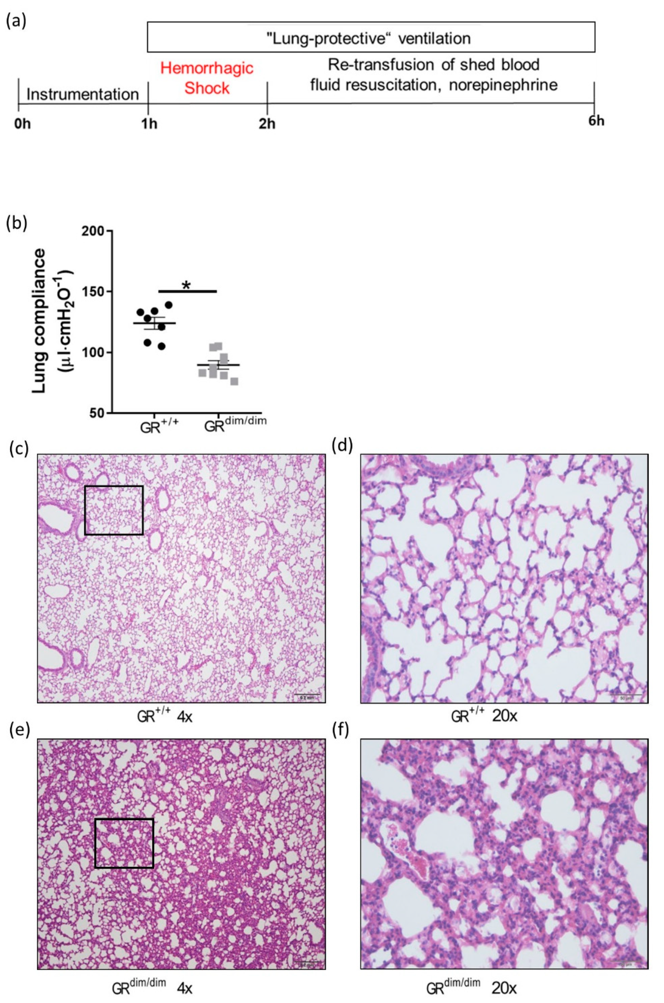 Cells 11 00112 g001 Cells 11 00112 g001