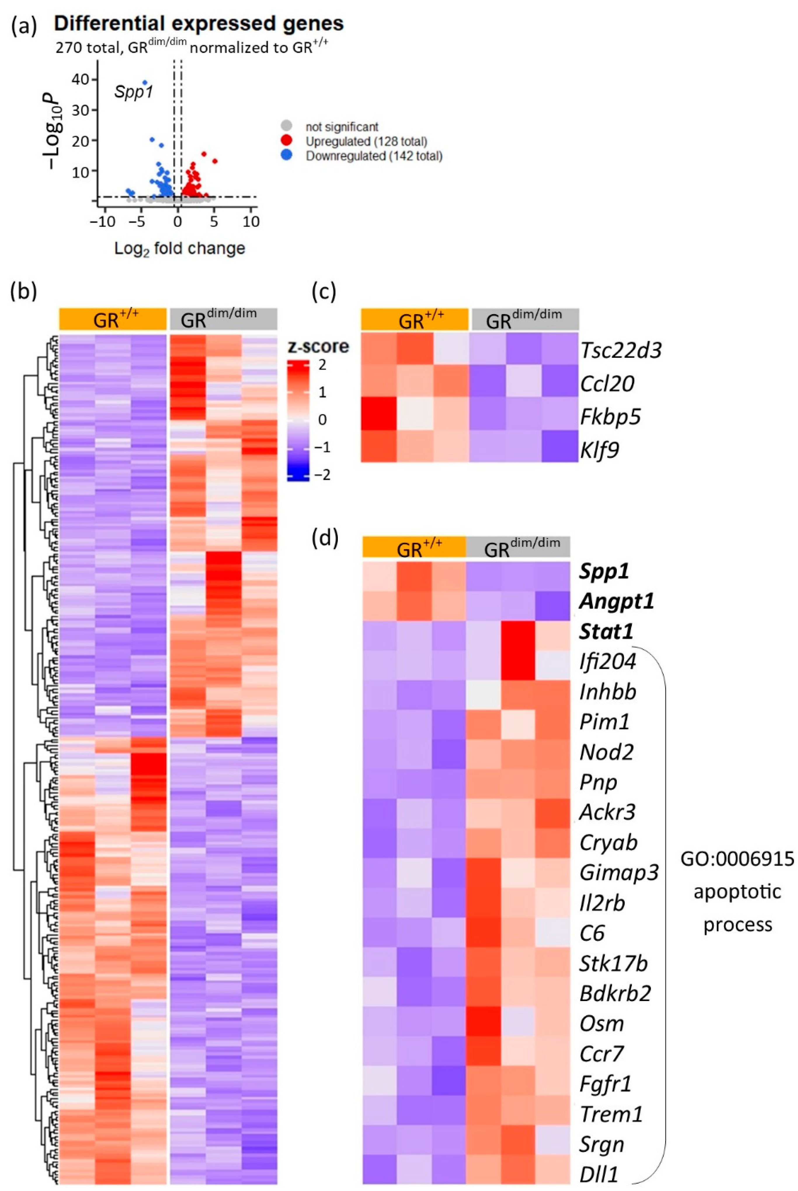 Cells 11 00112 g002 Cells 11 00112 g002