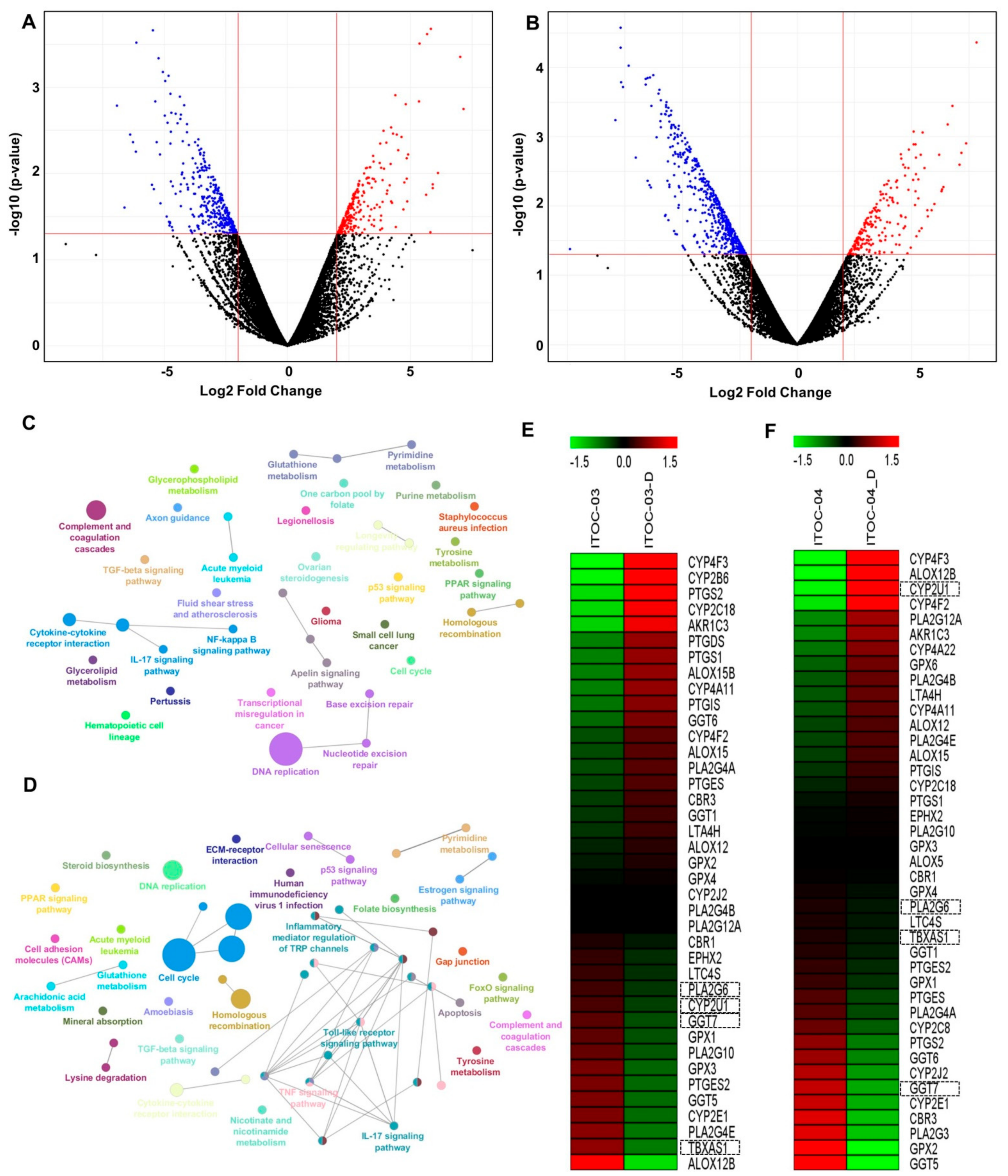 Cells 11 00123 g003 Cells 11 00123 g003