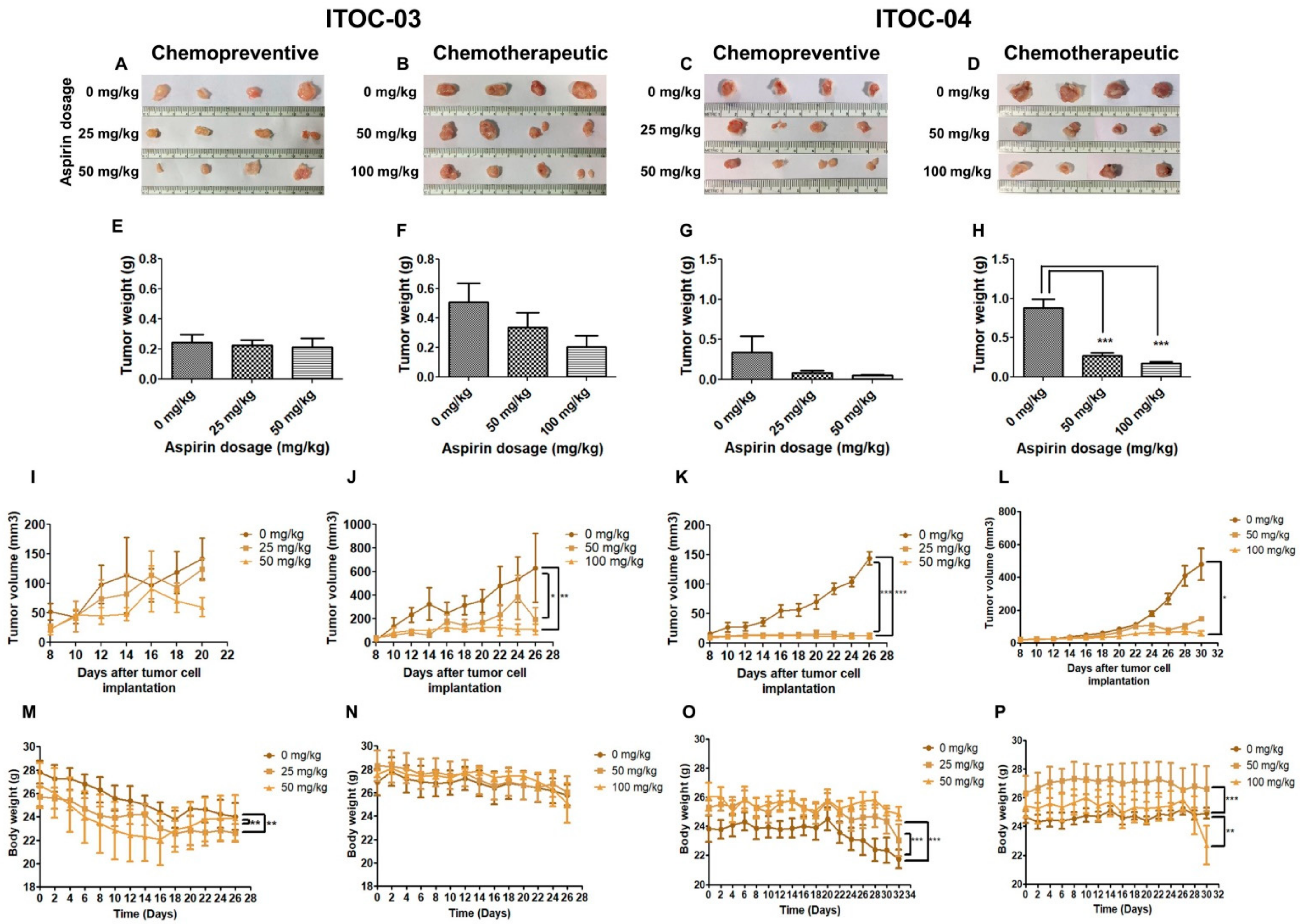Cells 11 00123 g005 Cells 11 00123 g005
