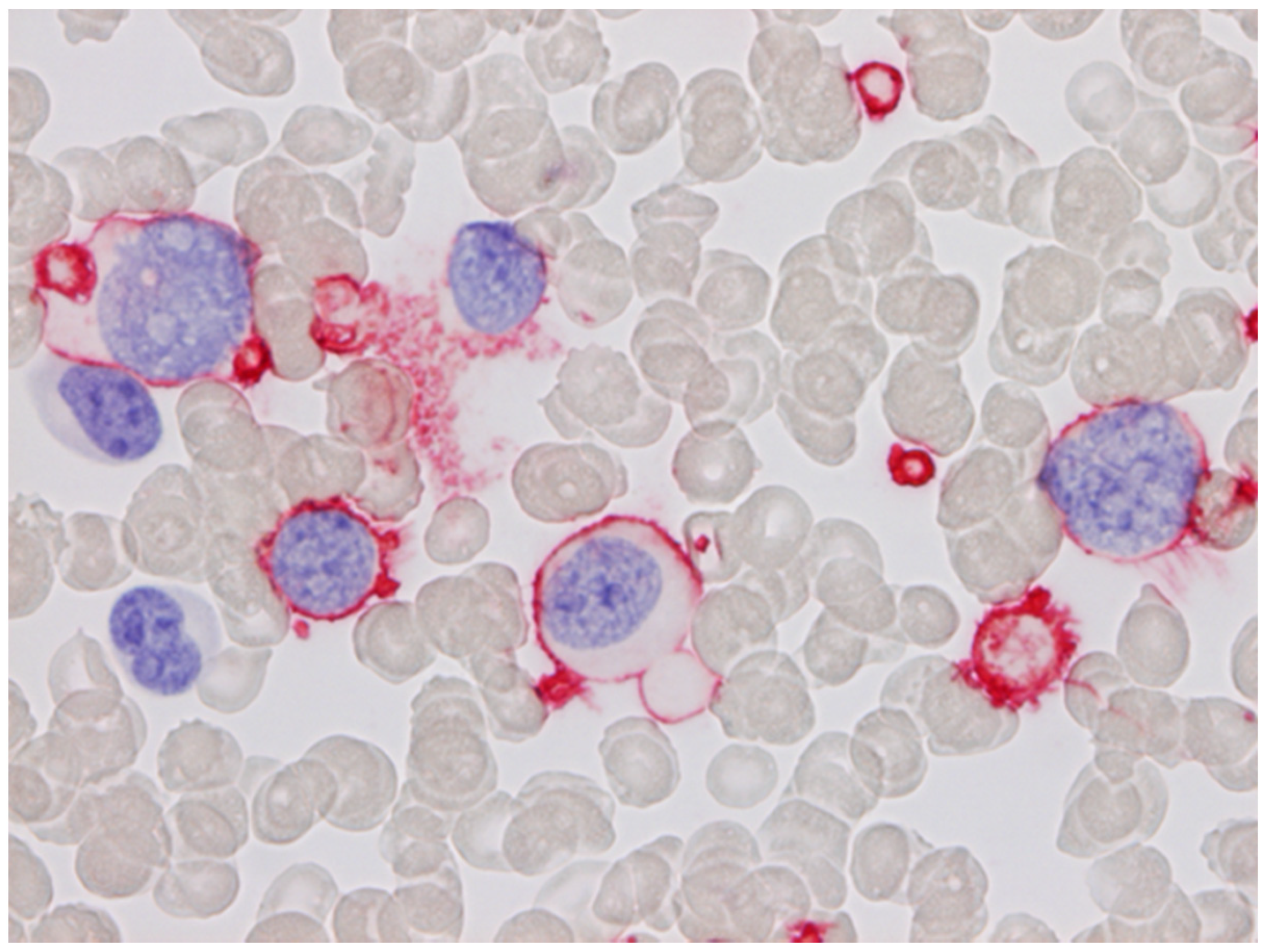 Cells 11 00127 g001 550