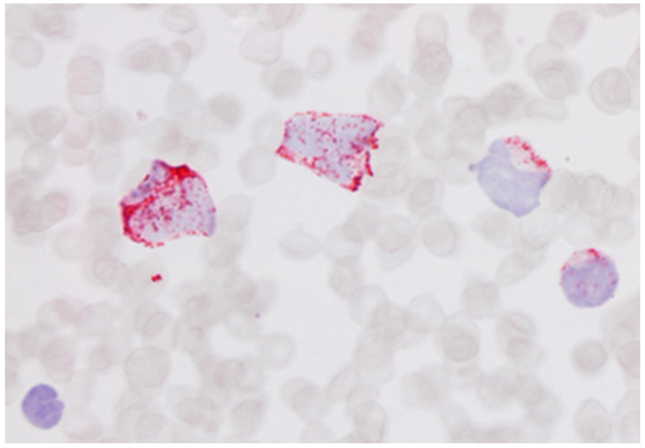 Cells 11 00127 g002 550