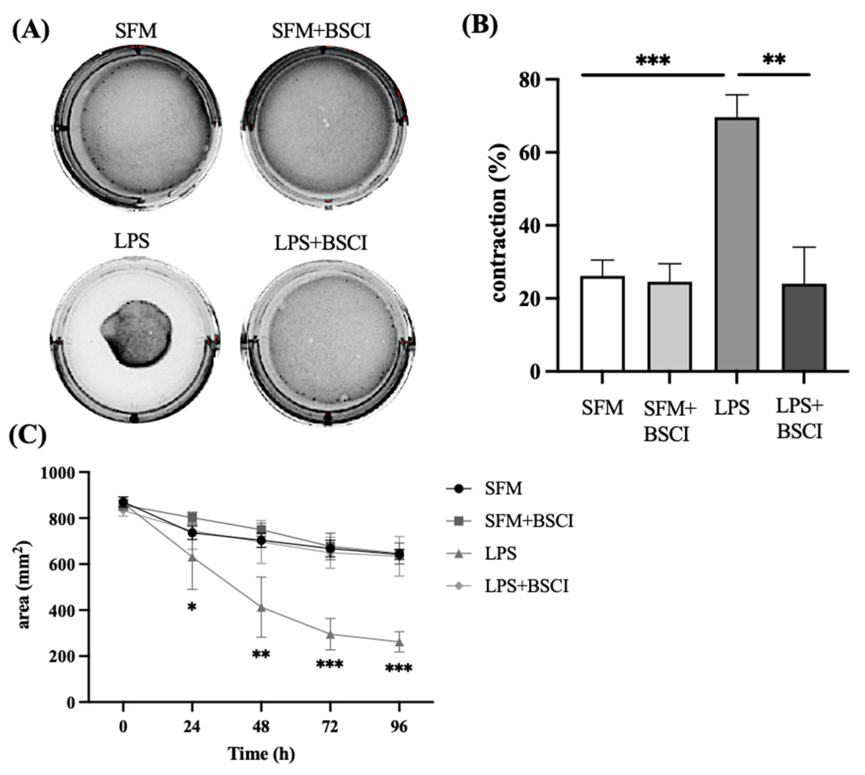 Cells 11 00128 g005 Cells 11 00128 g005