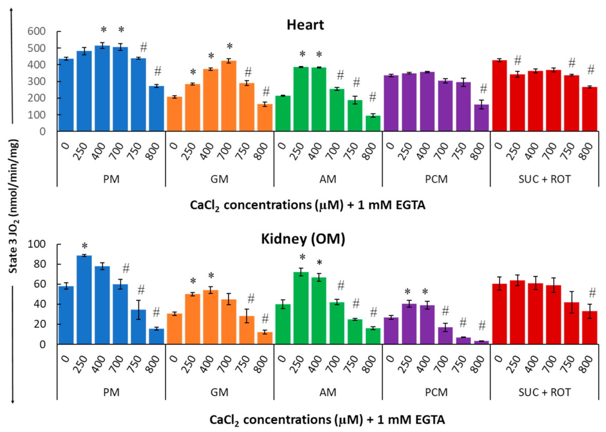 Cells 11 00131 g005 Cells 11 00131 g005