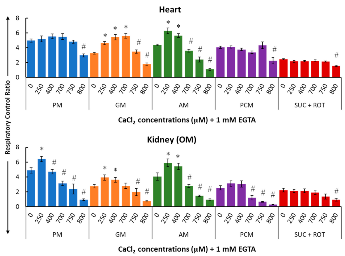 Cells 11 00131 g006 Cells 11 00131 g006