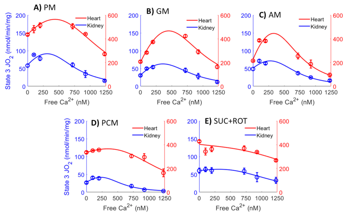 Cells 11 00131 g008 Cells 11 00131 g008