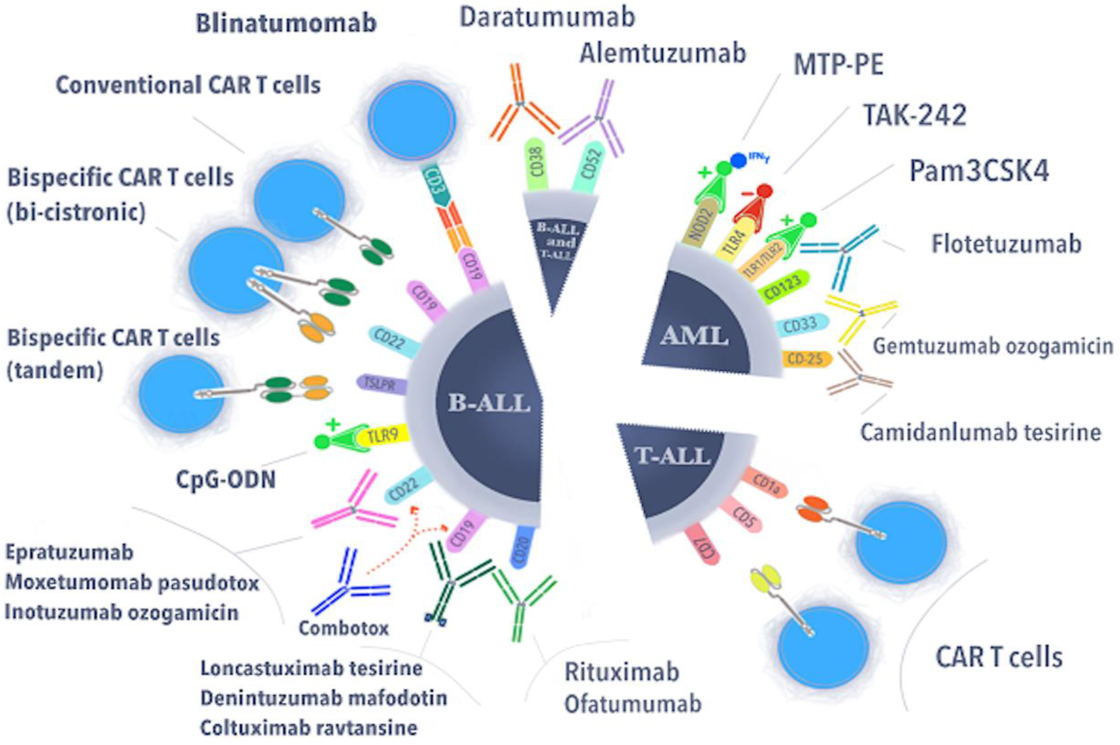 Cells 11 00139 g001 Cells 11 00139 g001