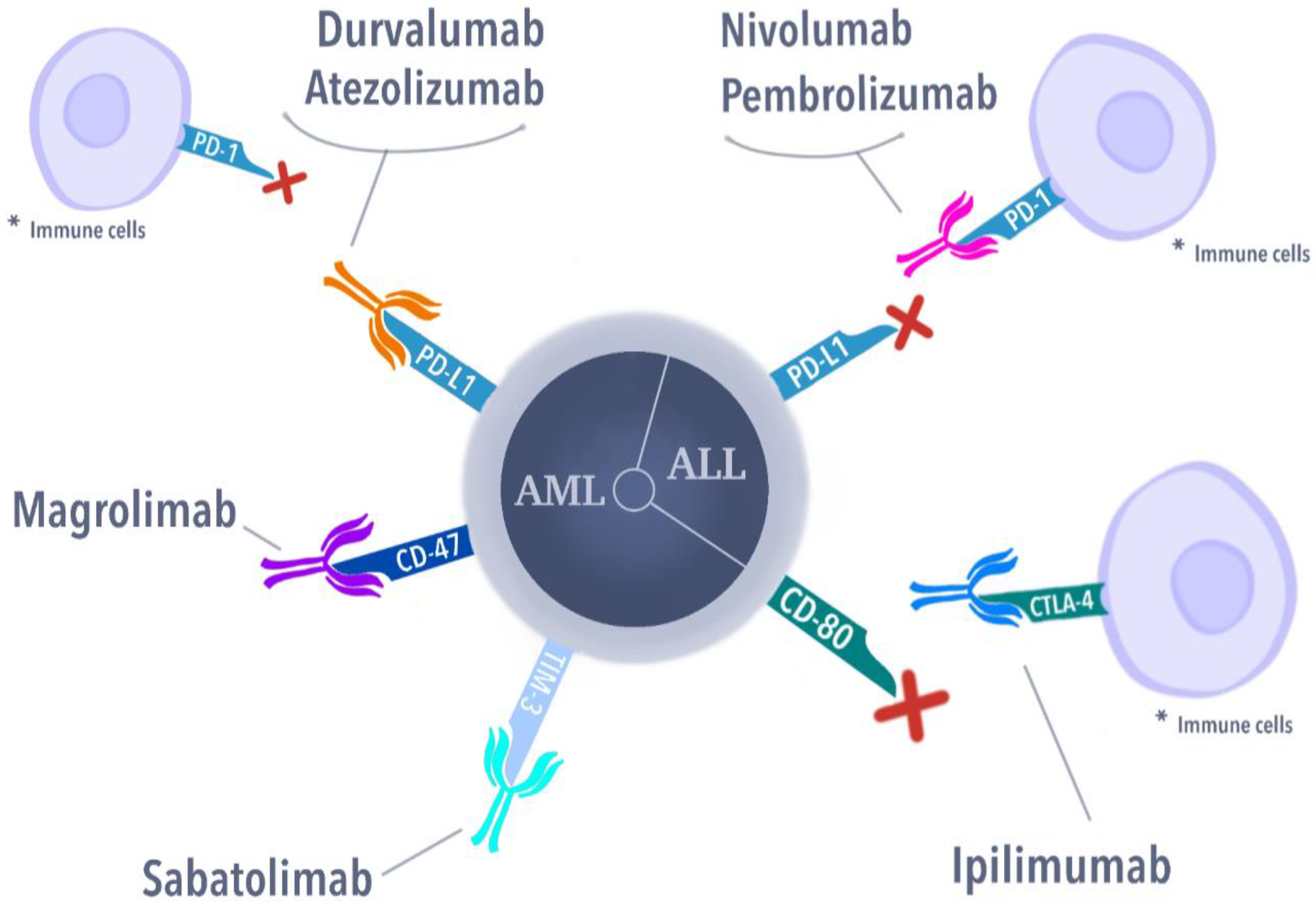 Cells 11 00139 g002 Cells 11 00139 g002