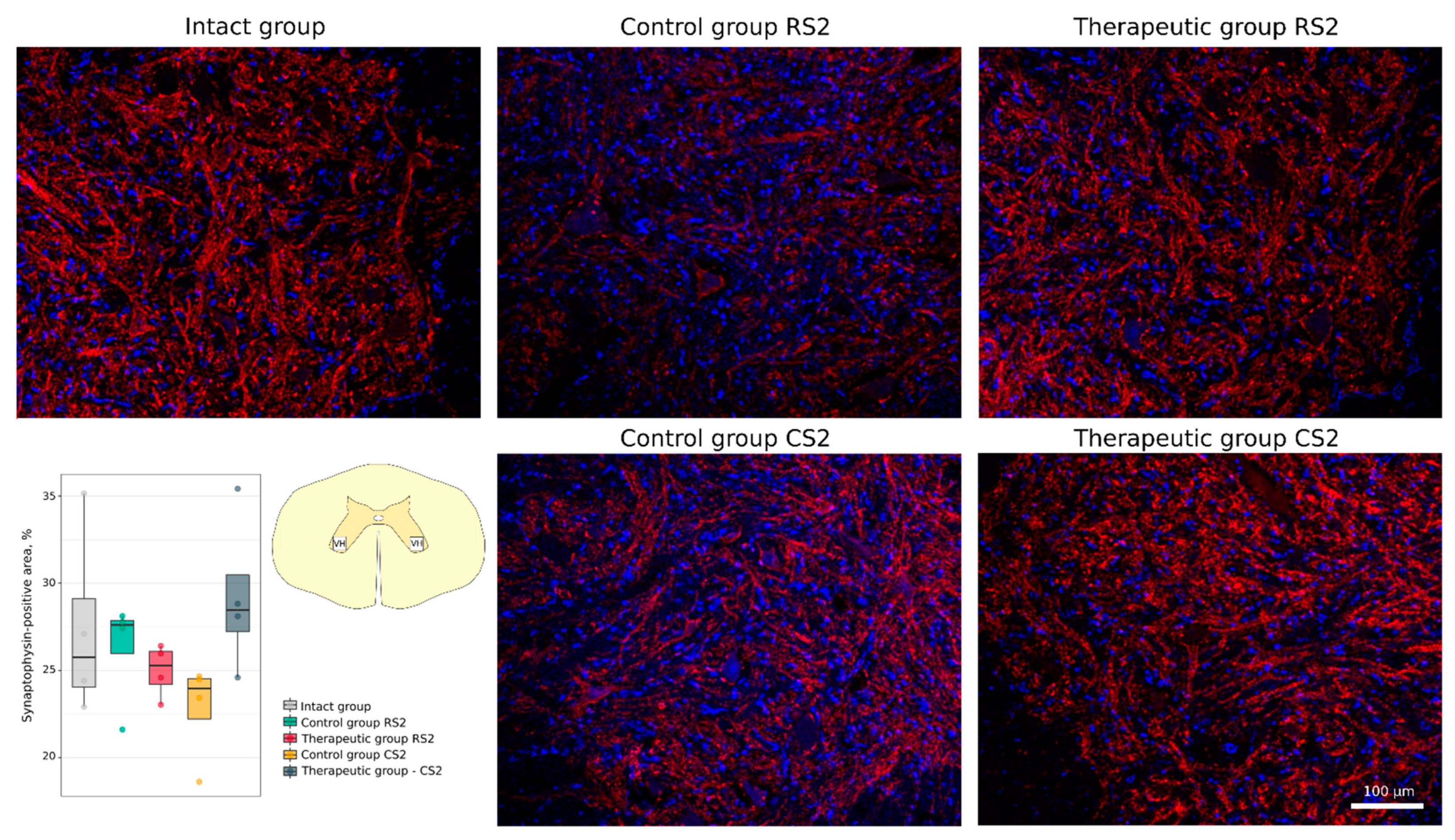 Cells 11 00144 g009 Cells 11 00144 g009