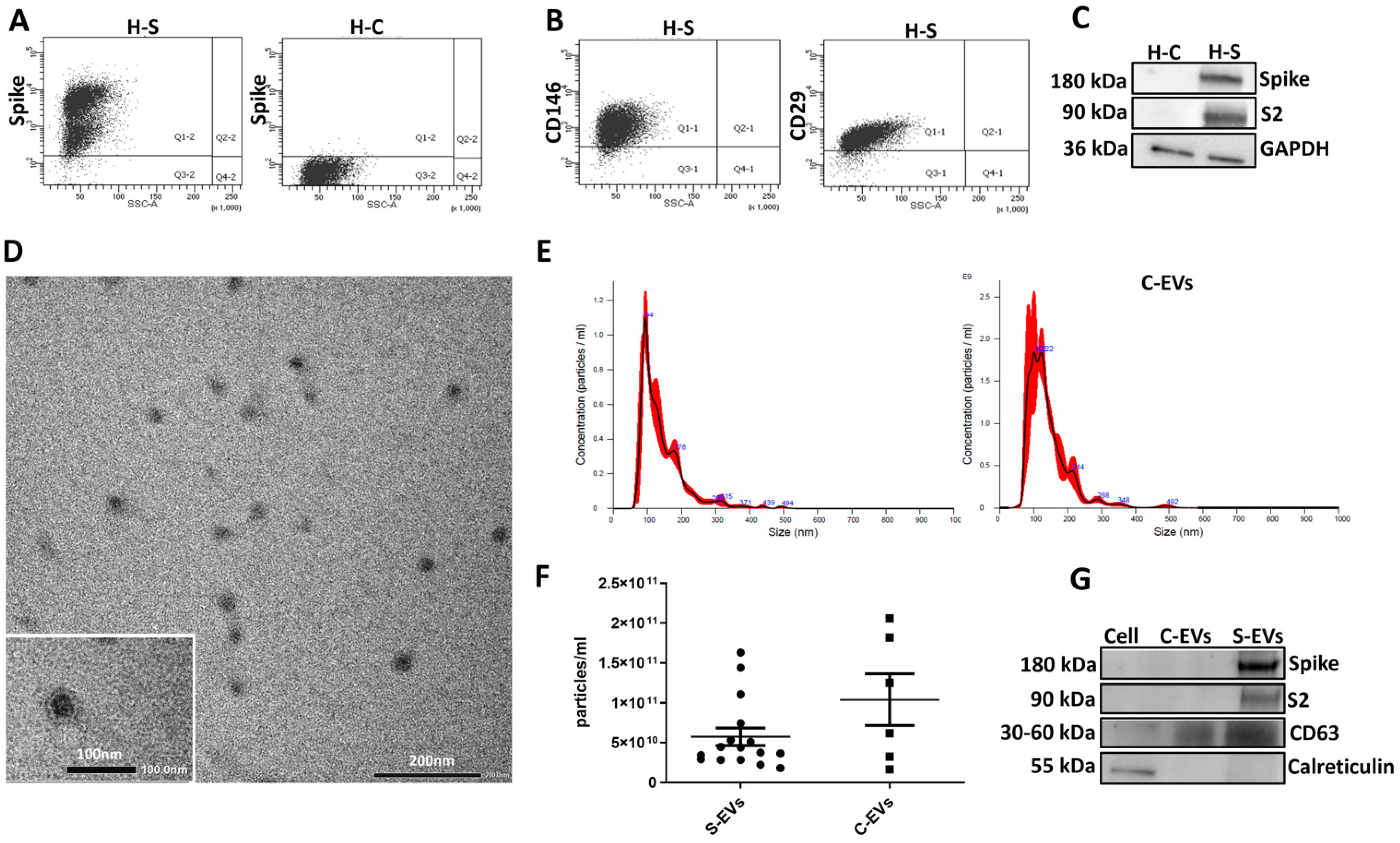 Cells 11 00146 g001 550