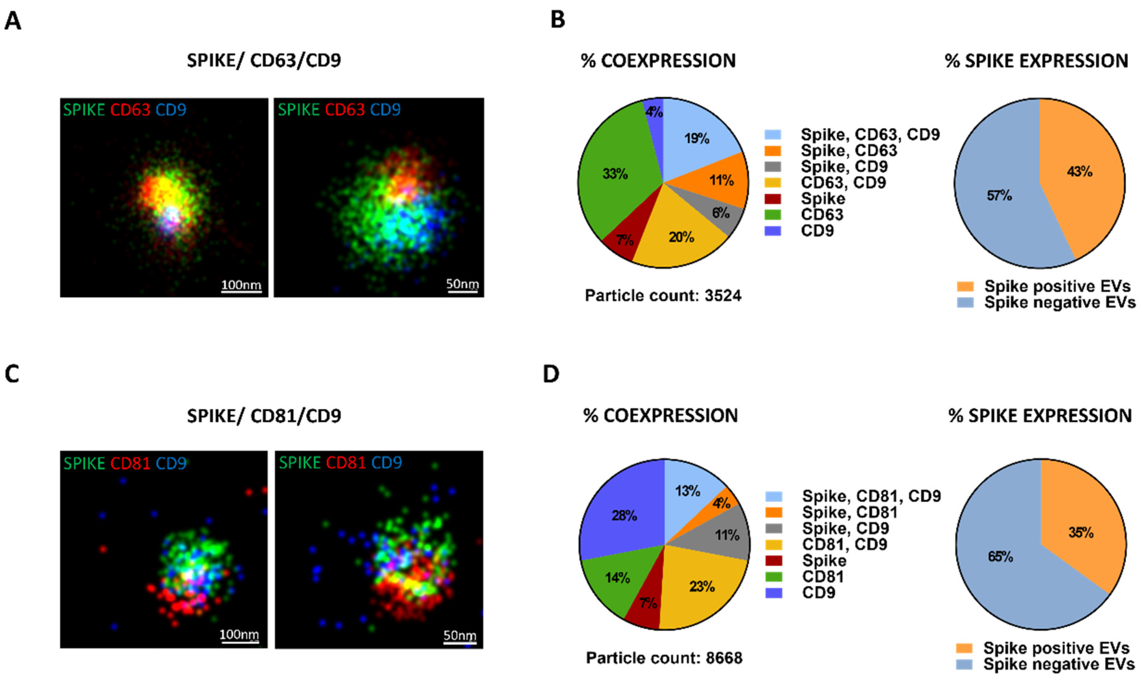 Cells 11 00146 g003 550