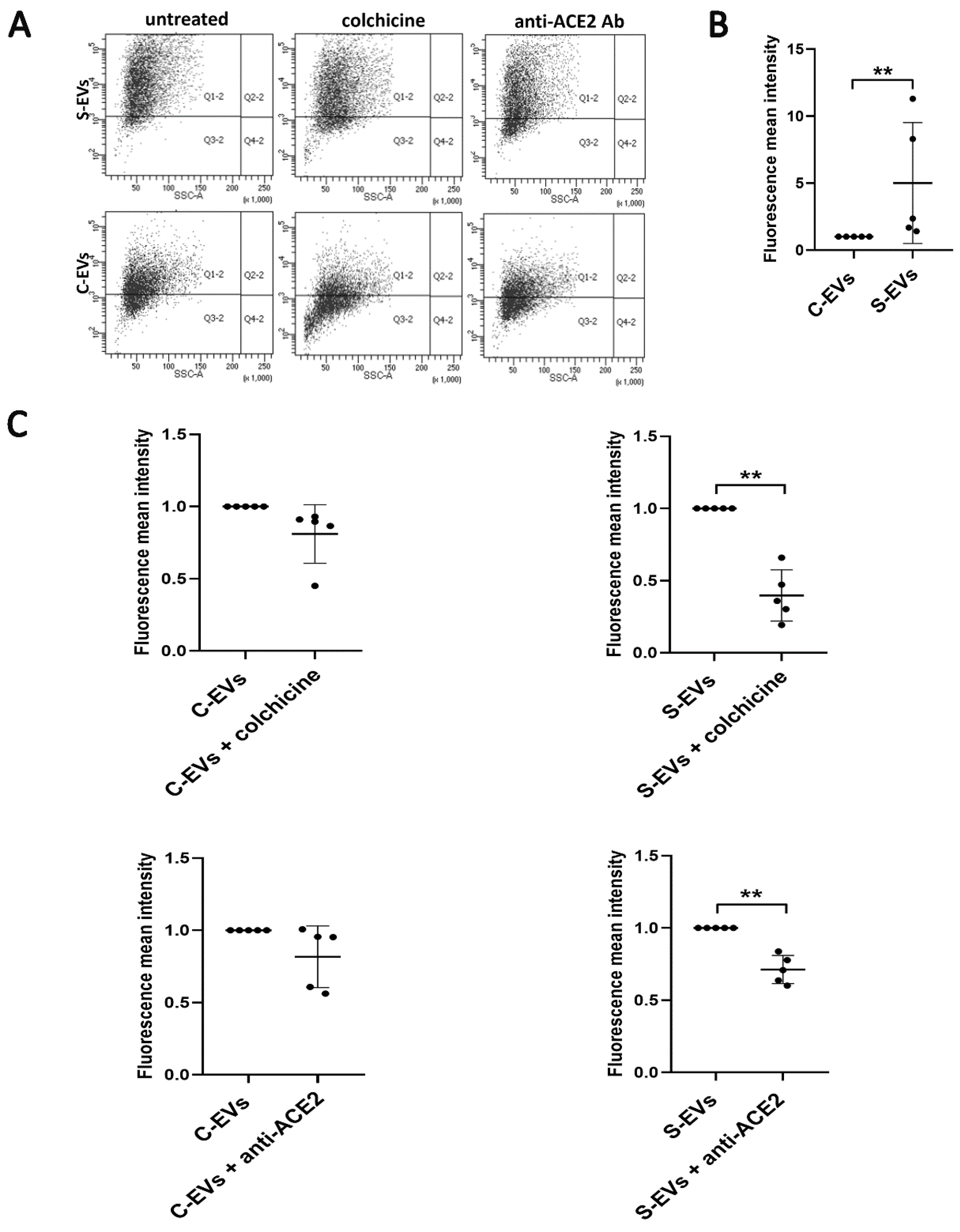 Cells 11 00146 g006 550