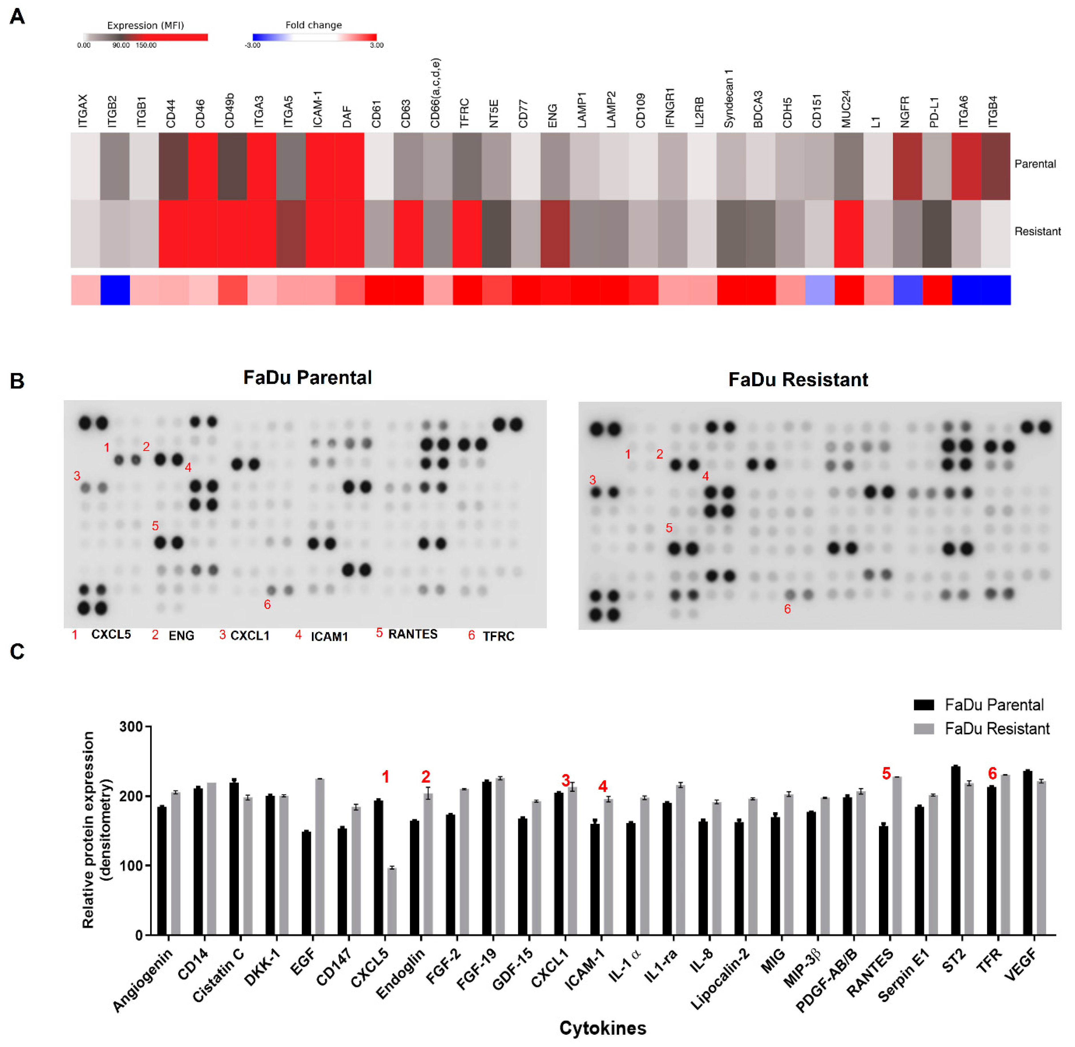 Cells 11 00154 g004 Cells 11 00154 g004
